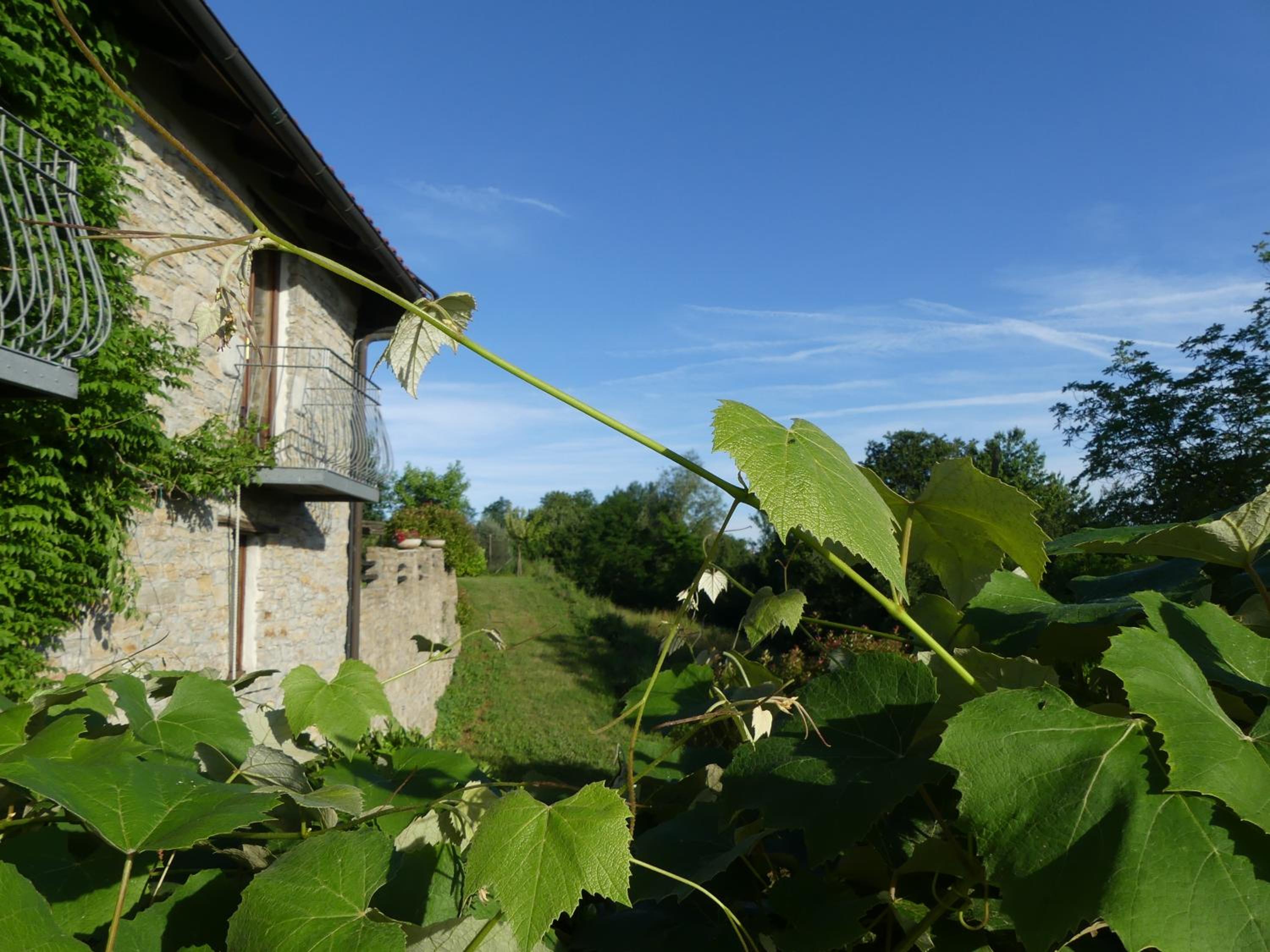 Photo 48