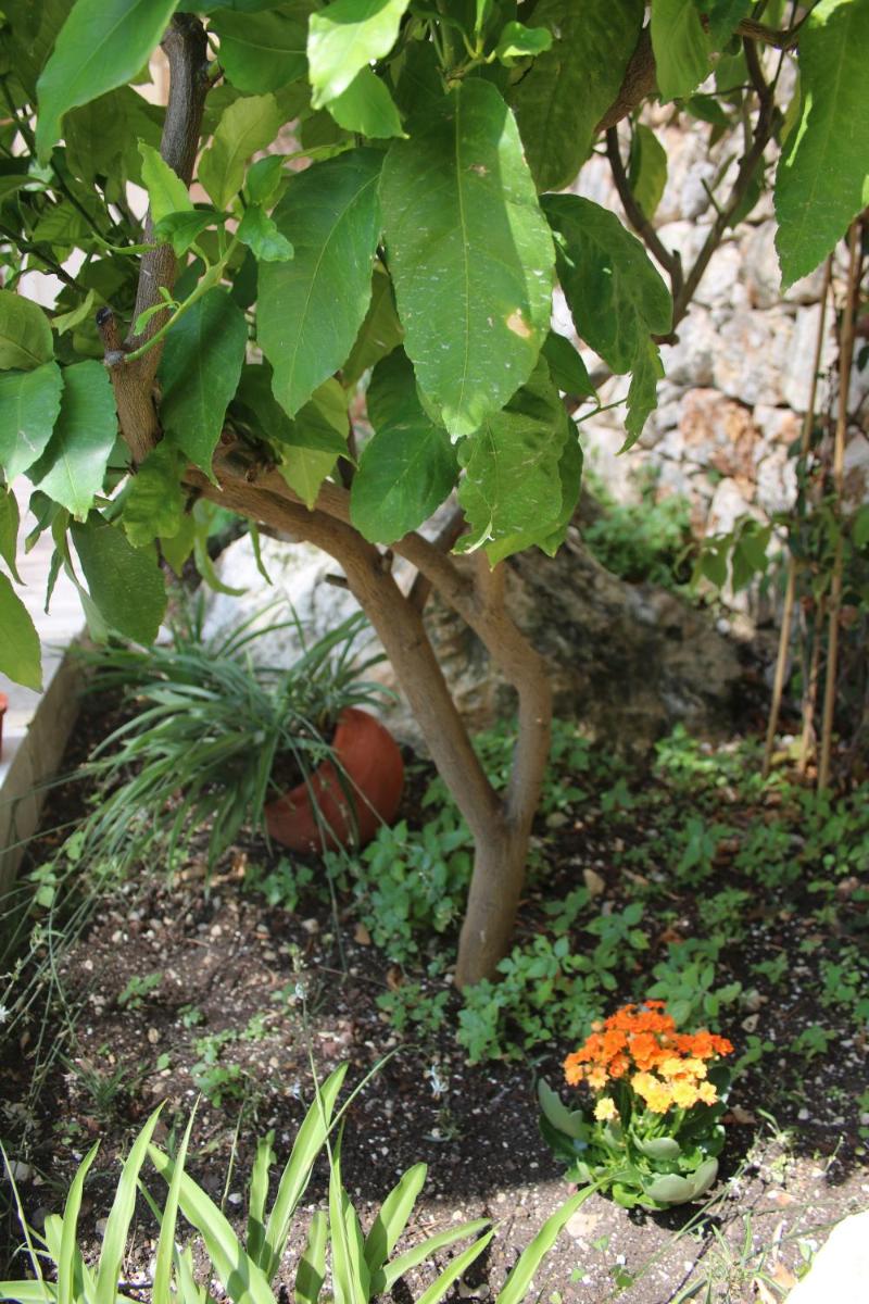 Photo 20