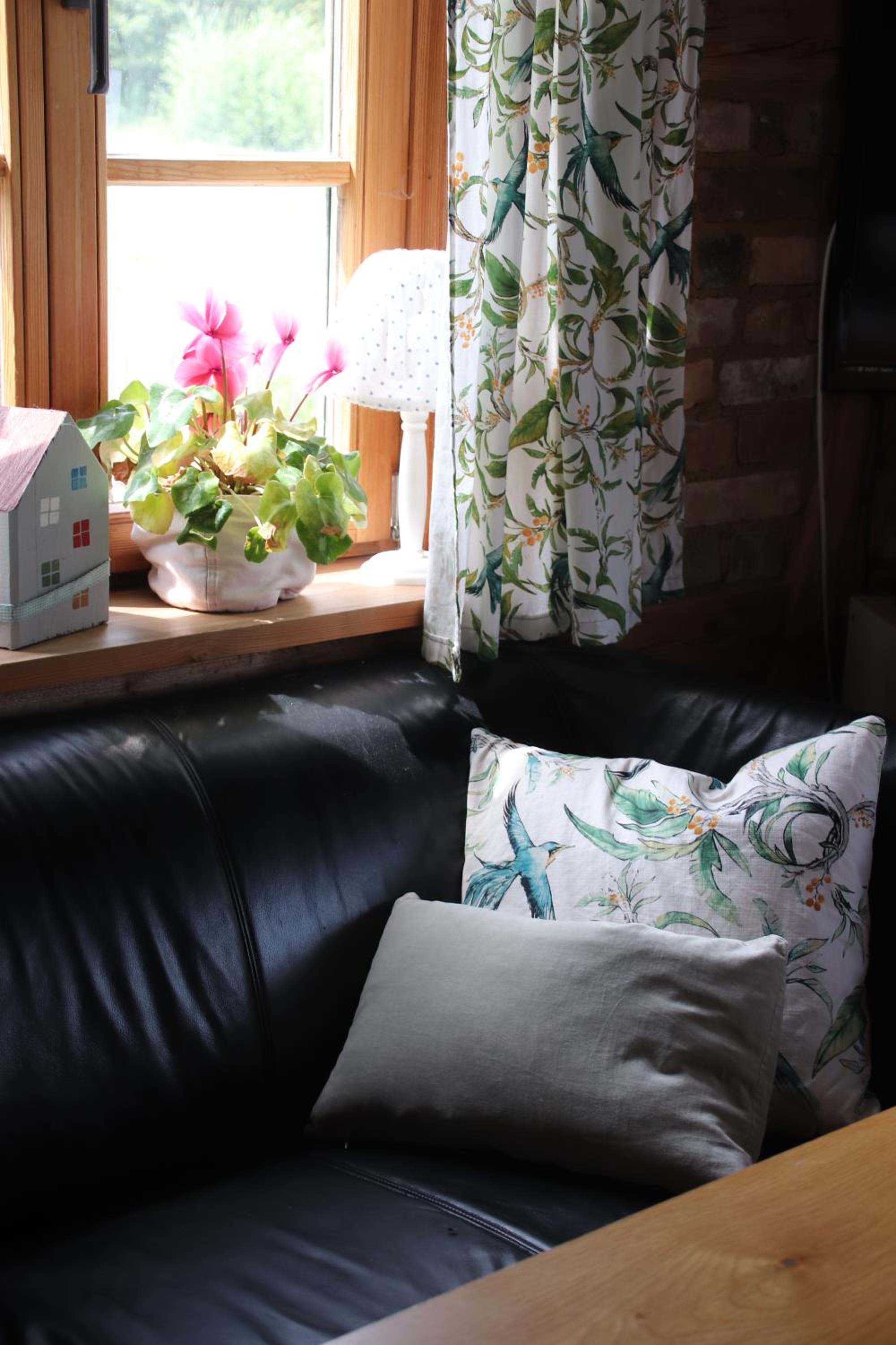 Photo 44