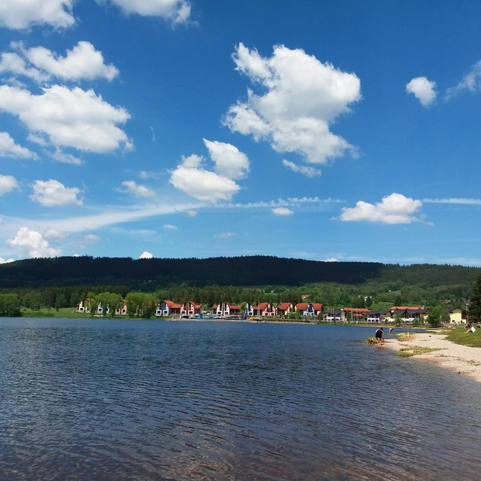 Apartment Riviera 503-1 Lipno Home