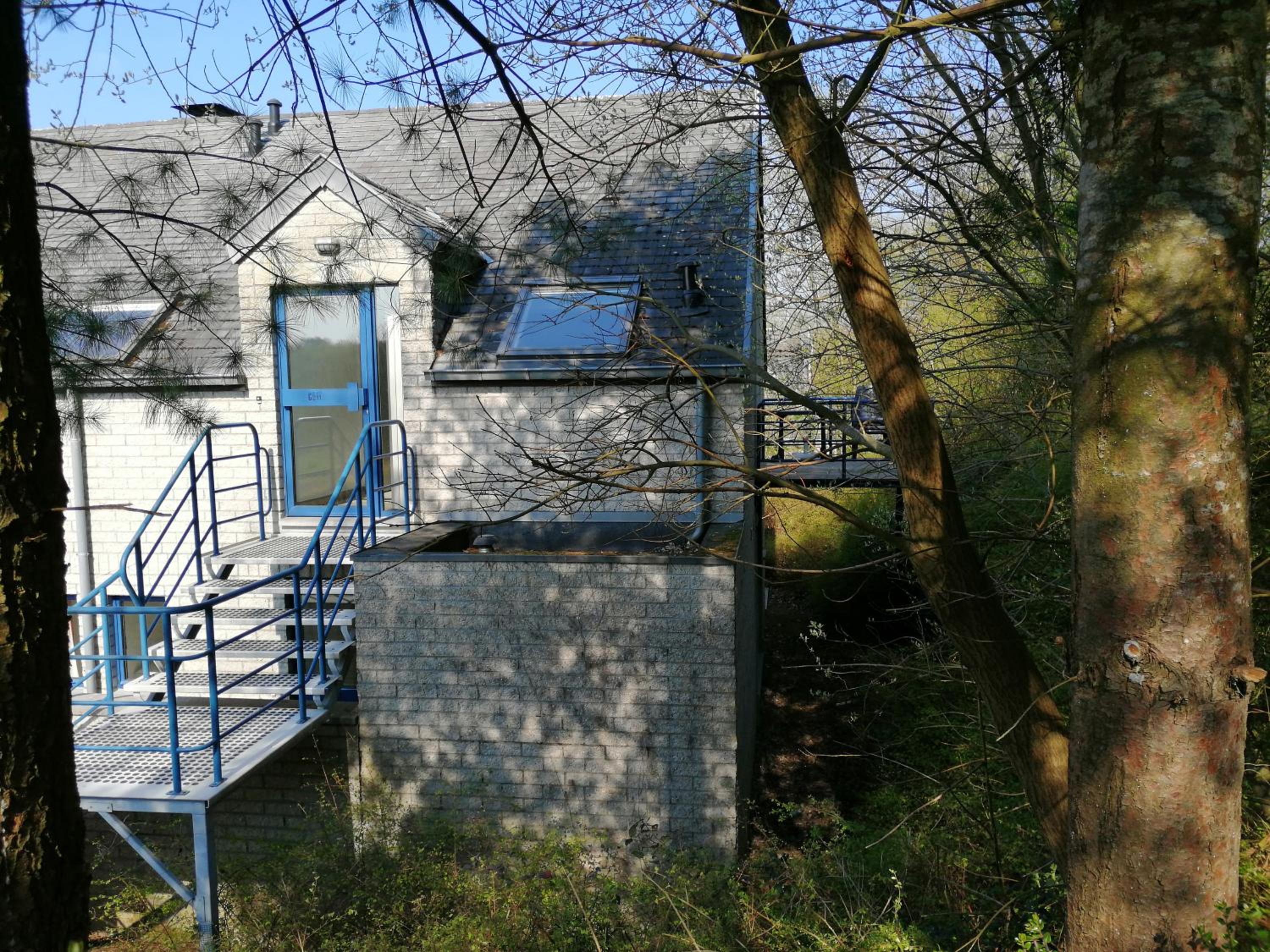 Photo 13