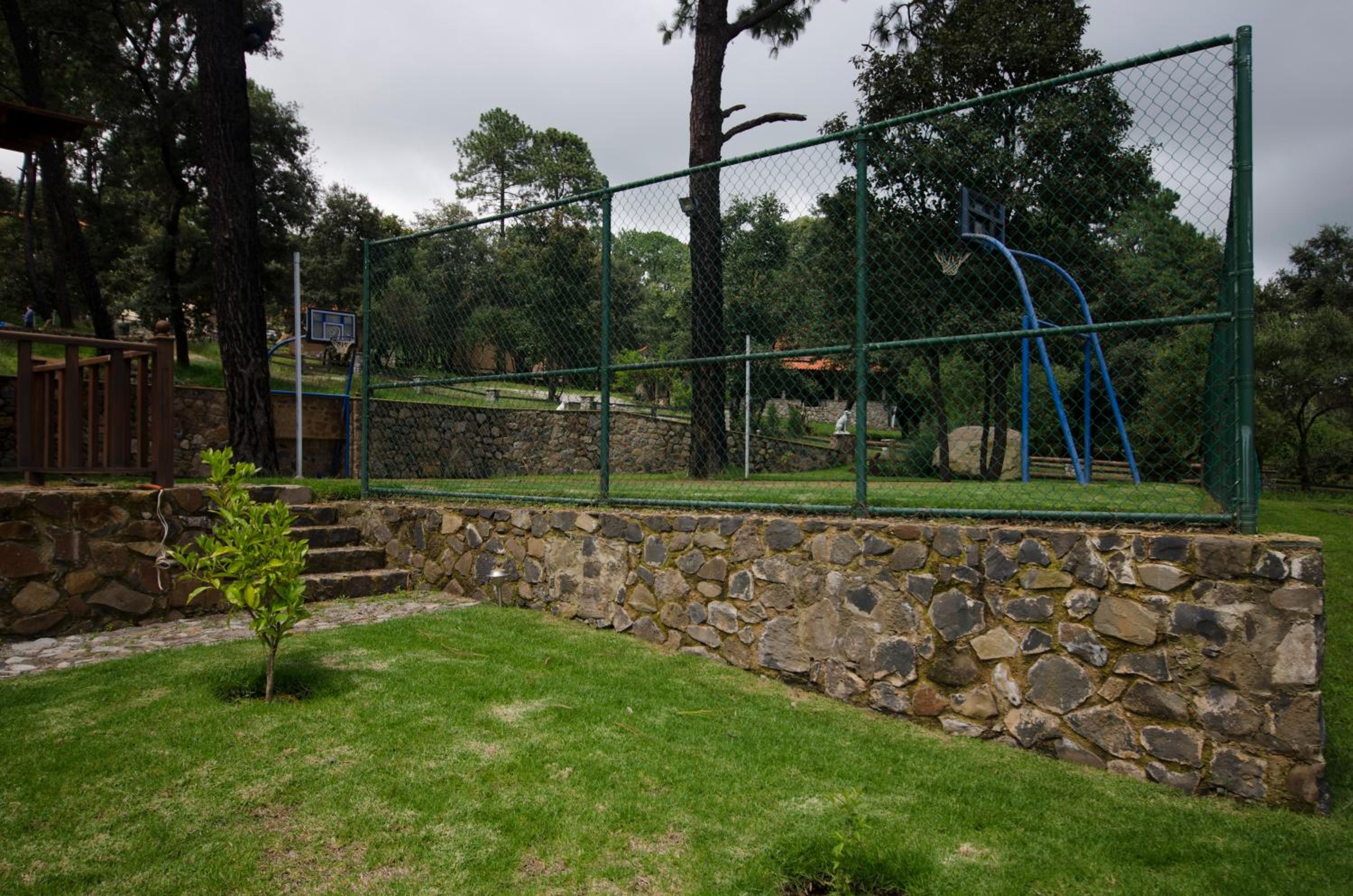 Photo 8