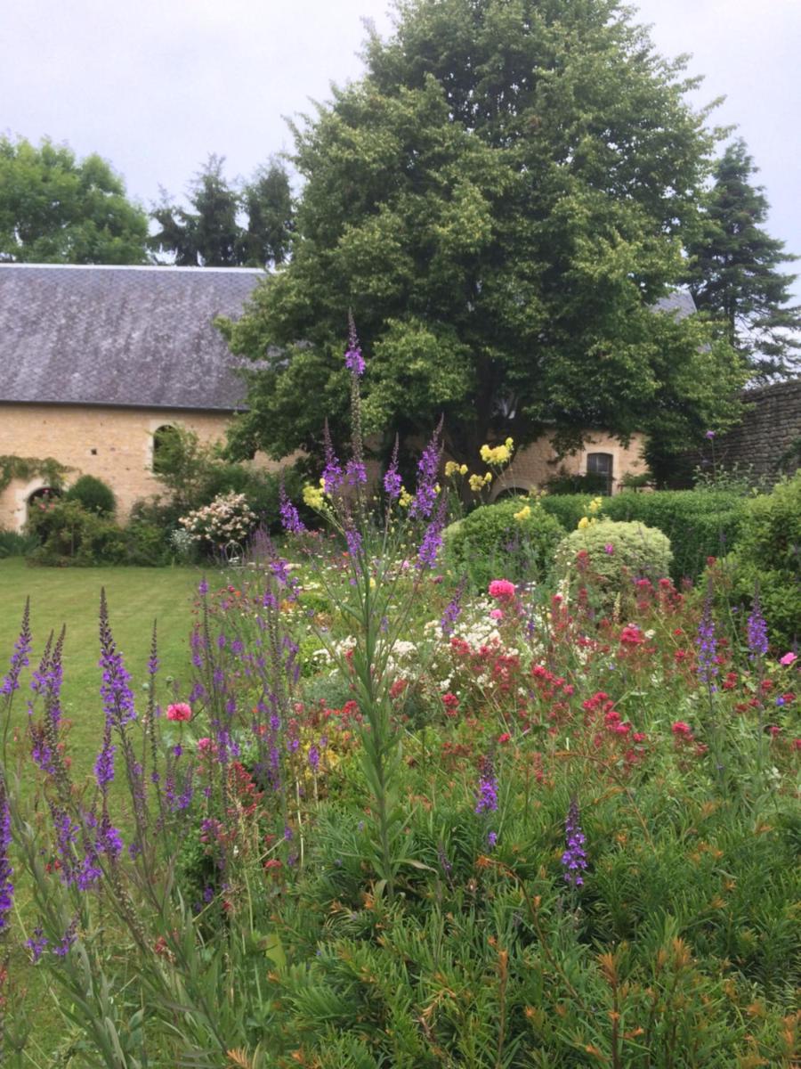 De ma fenetre view 2