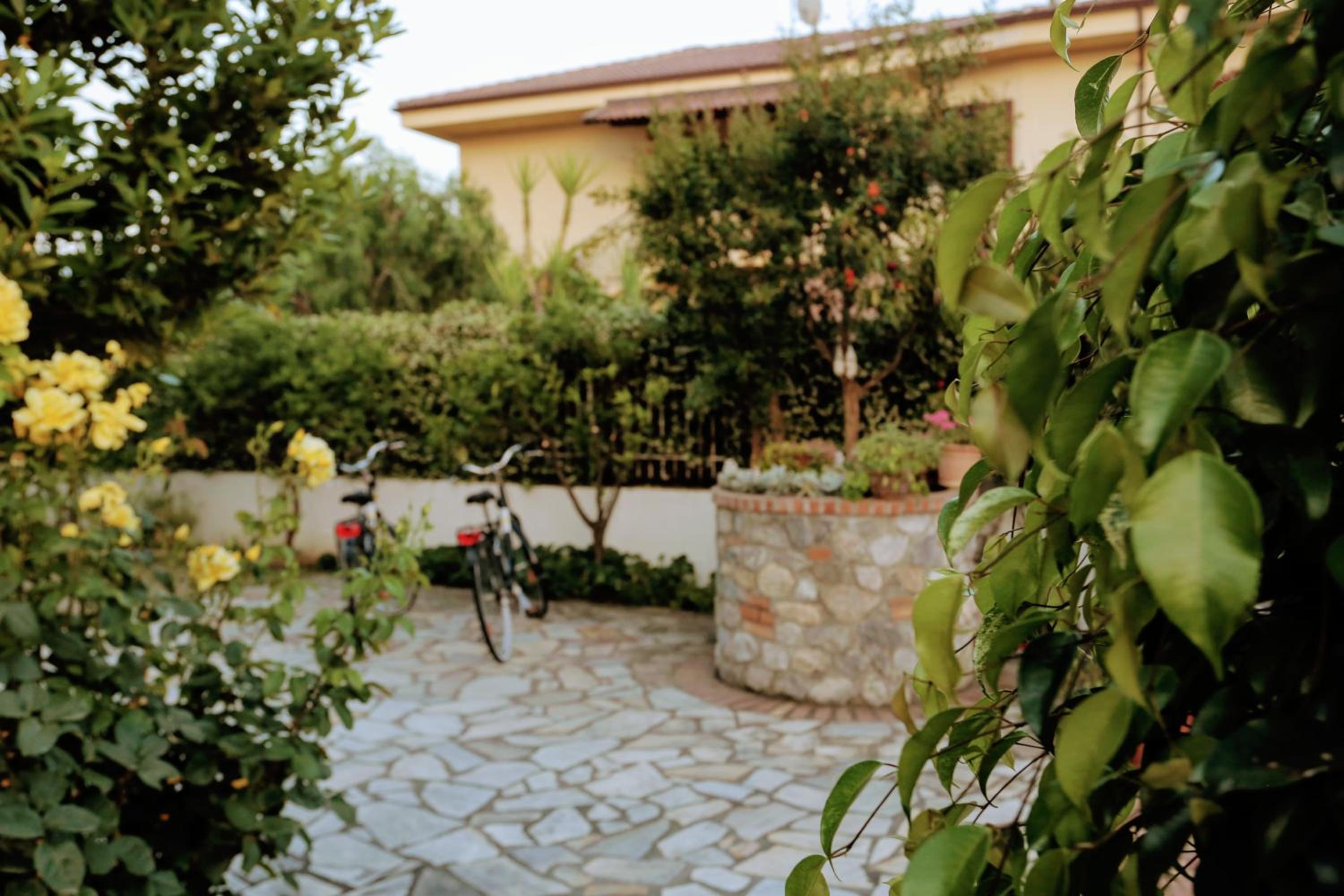 Photo 27