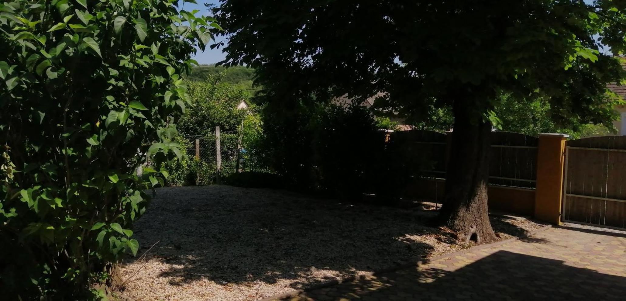Photo 29