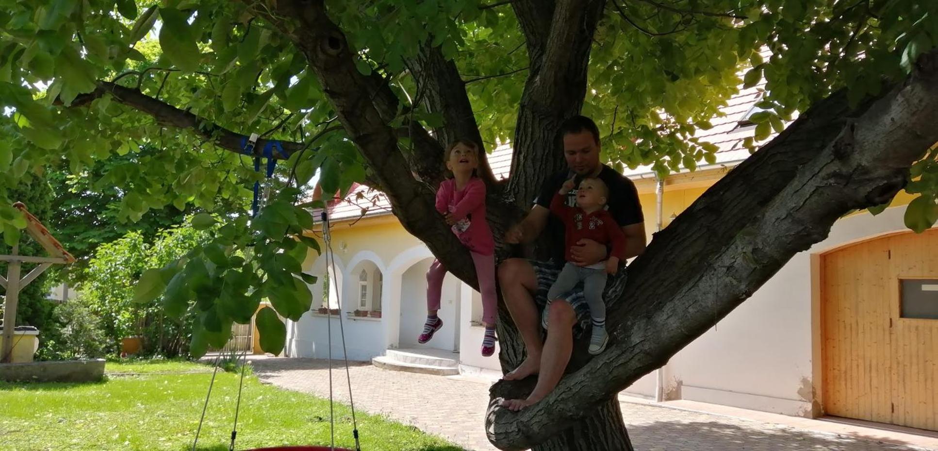Photo 33
