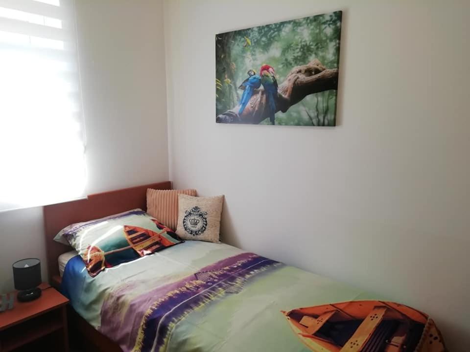 Photo 48