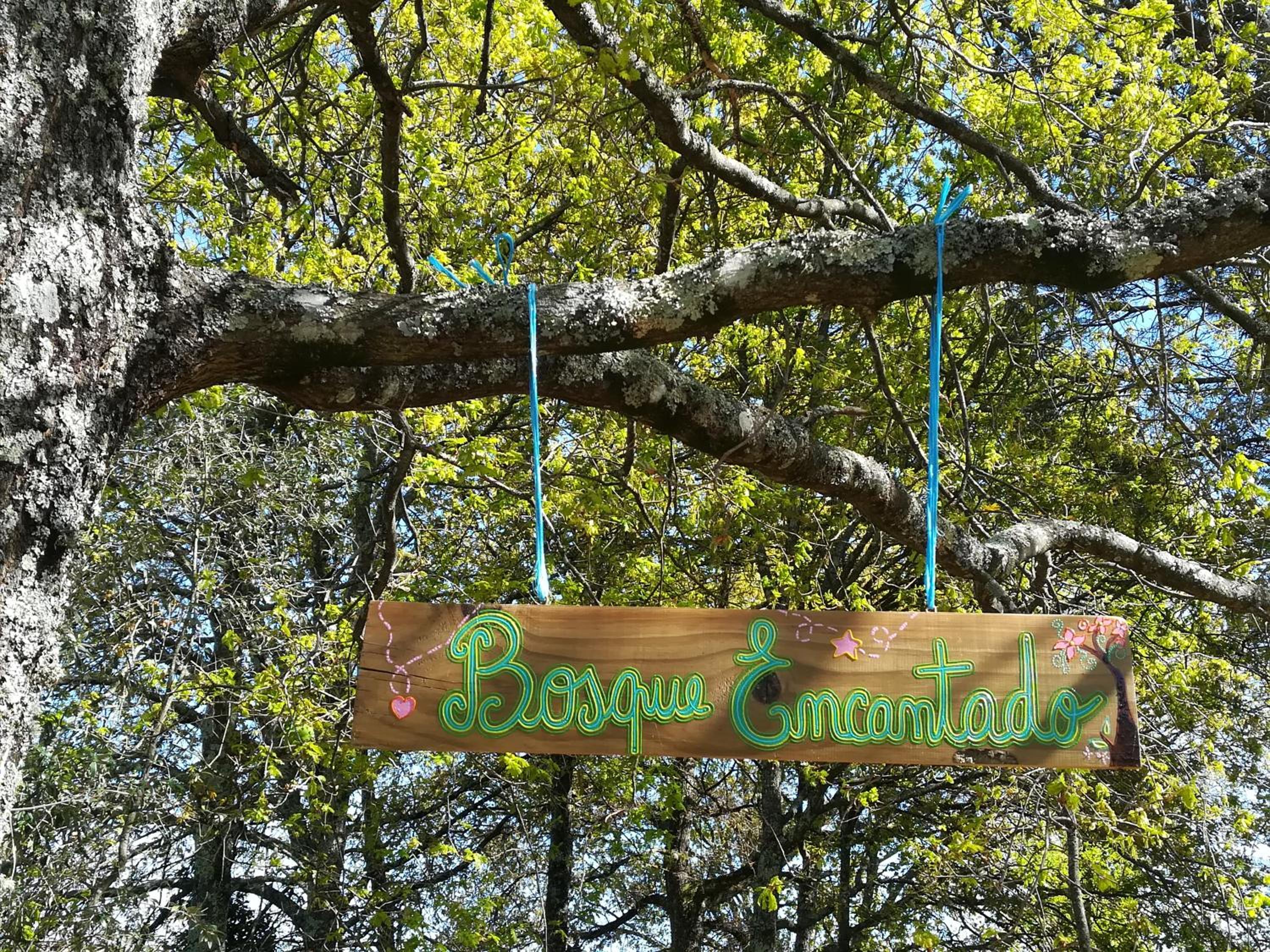 Casa Das Palmeiras-Pedagogic Farm