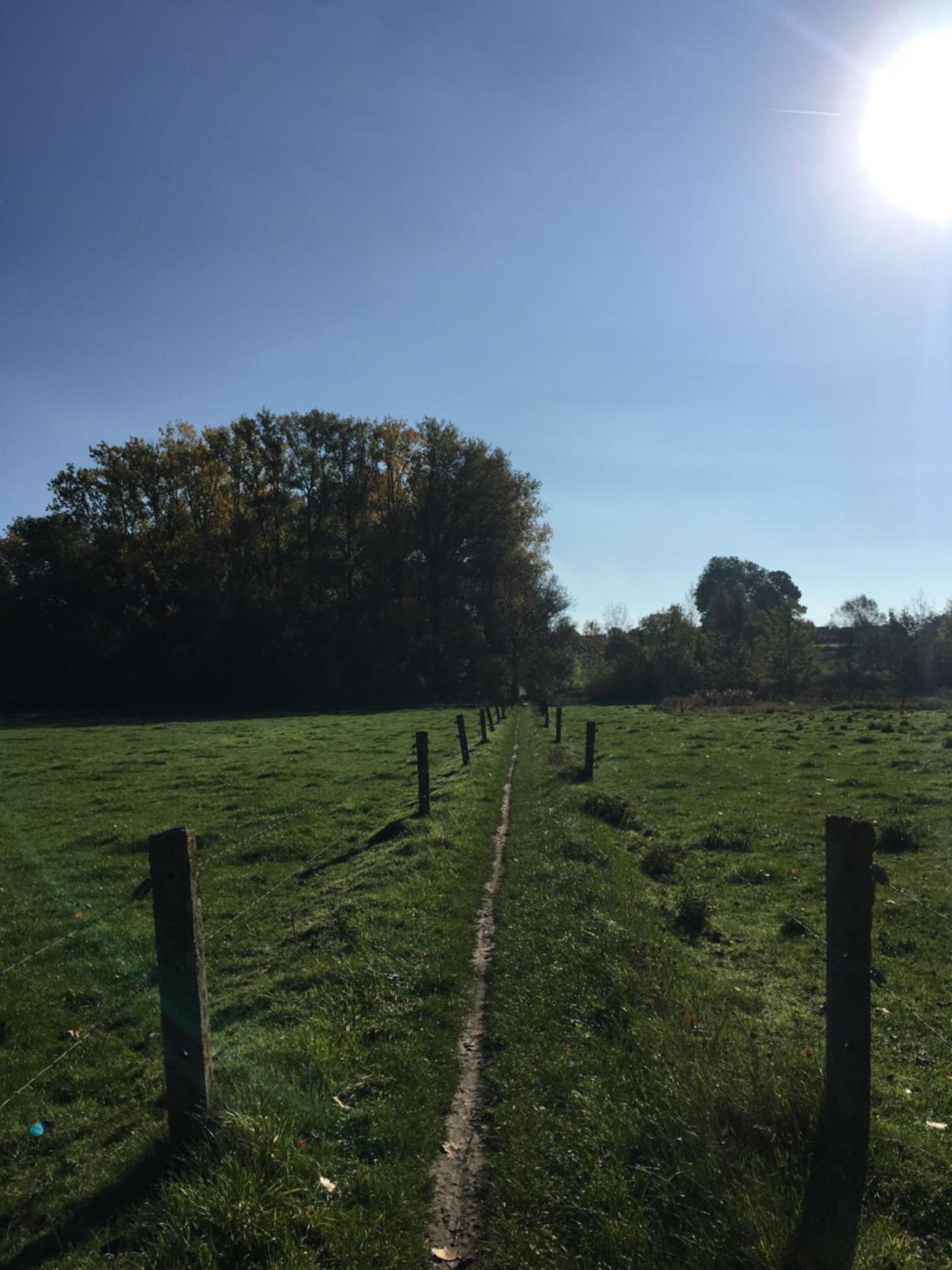 Scheldewegel Vakantiehuis