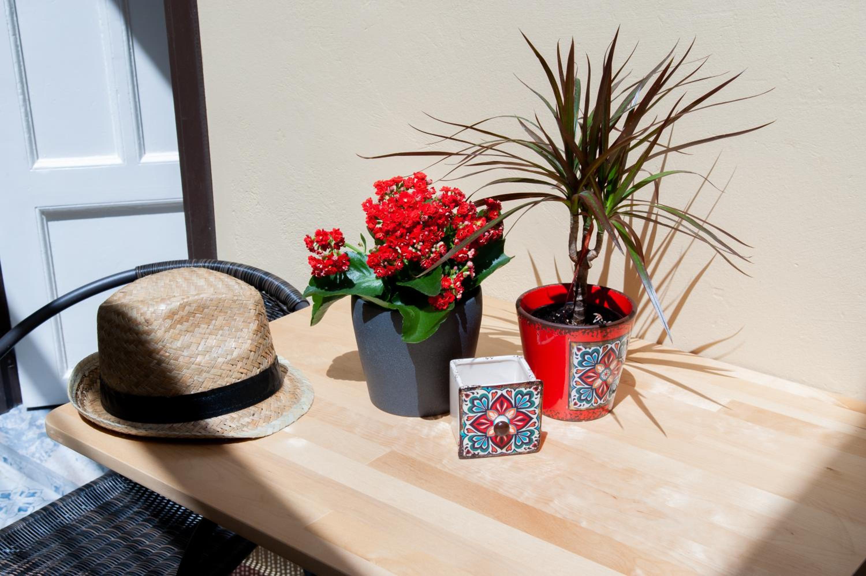 17 flats and Roof Garden