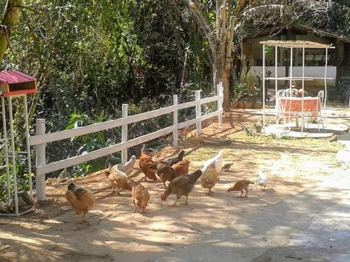 outdoor BBQ area