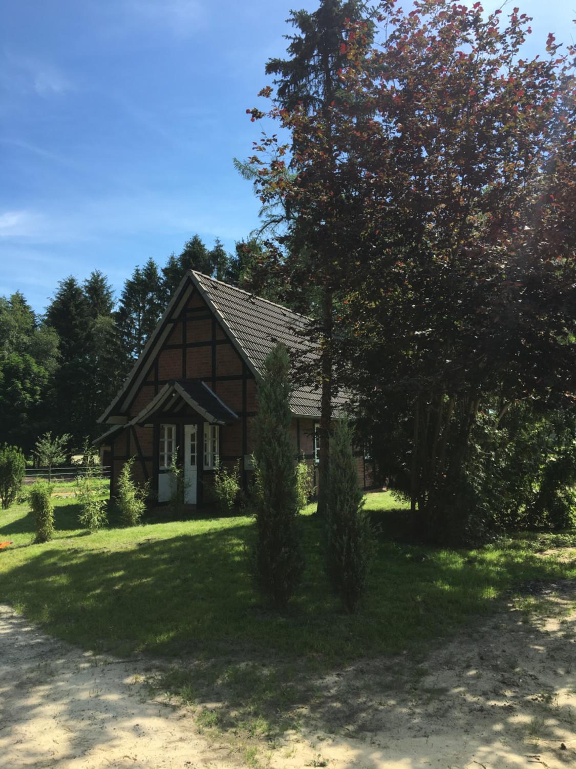 Photo 17