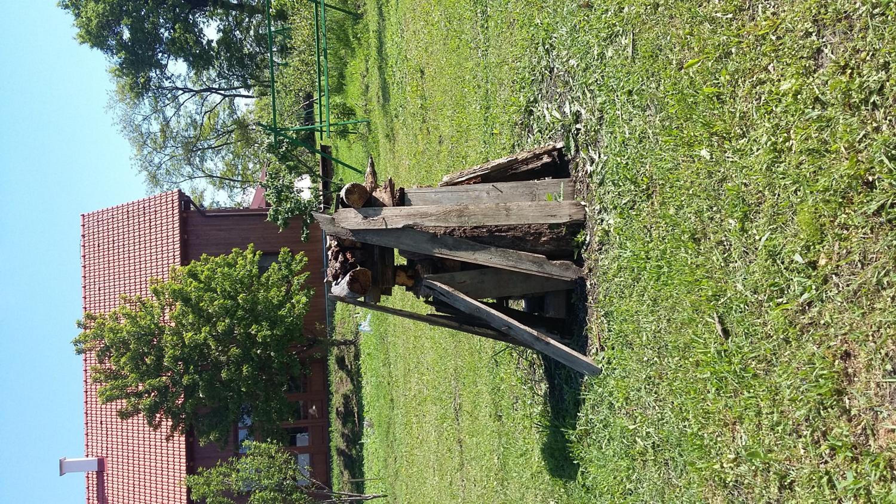 Photo 46