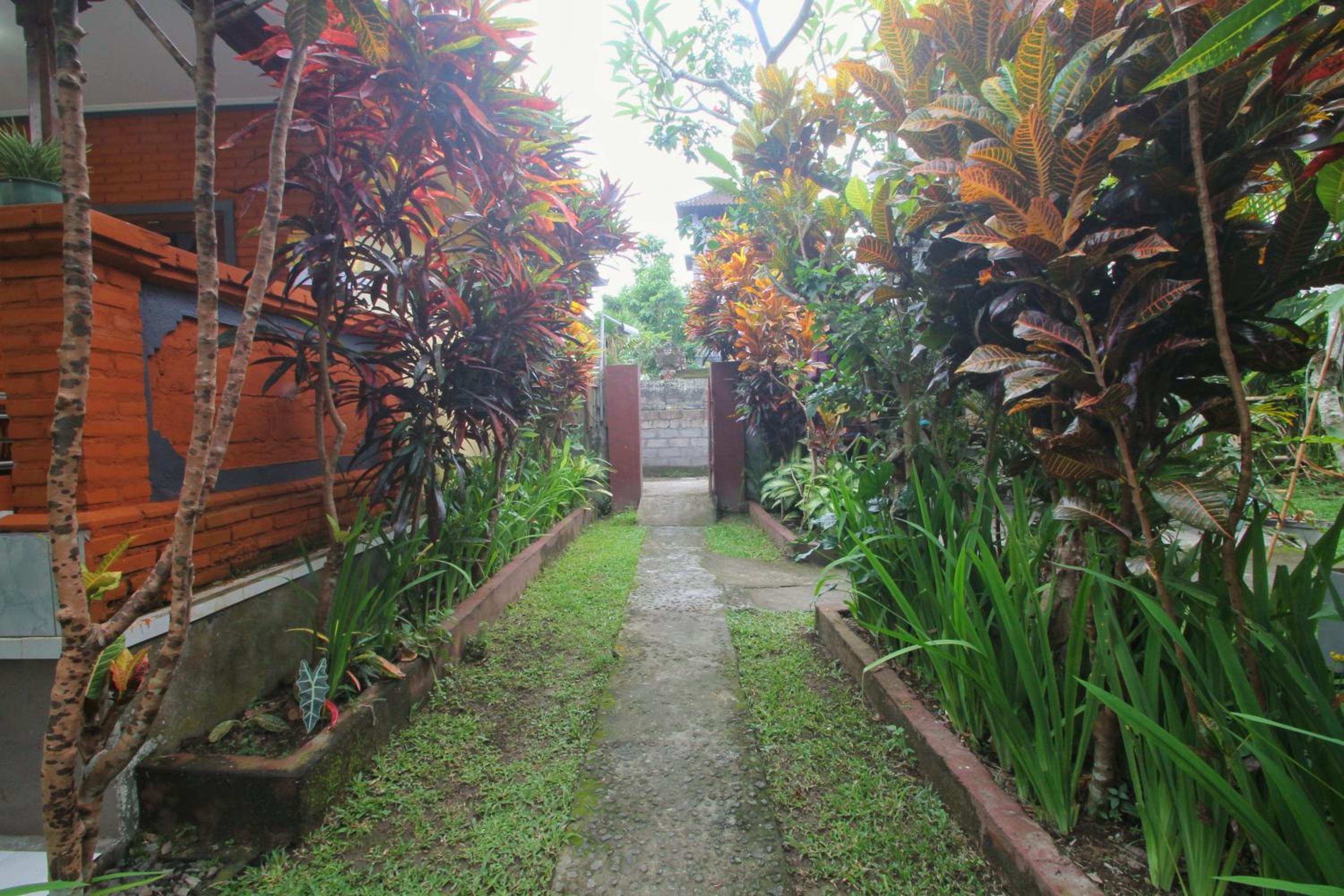 Photo 49