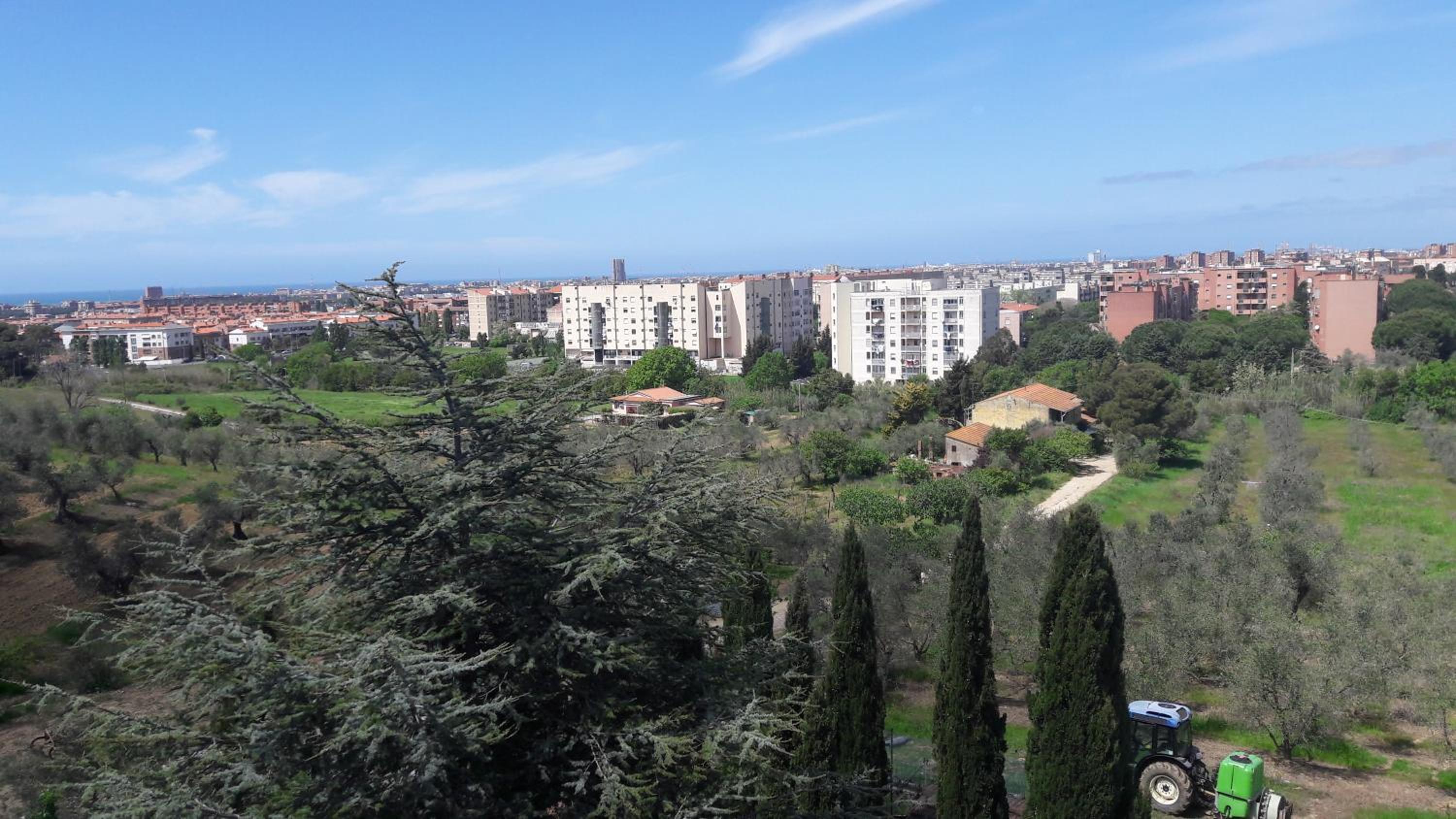 Dolci Ricordi view 4