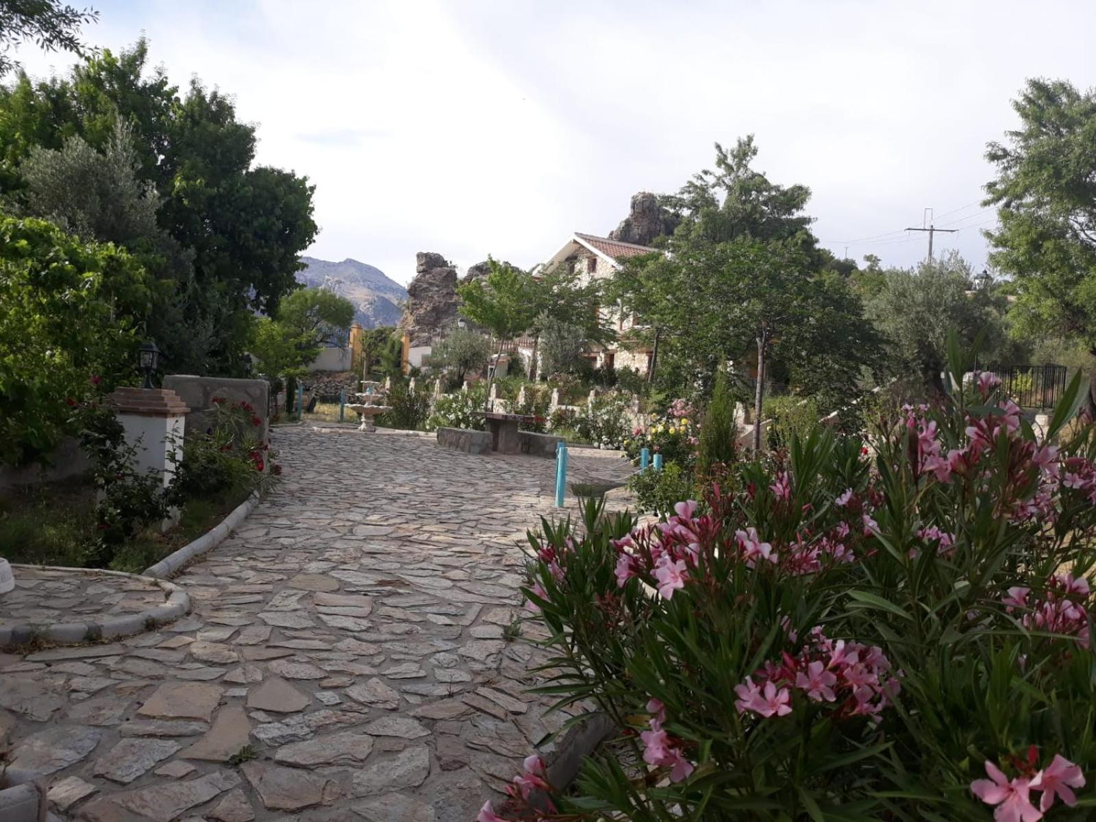 Photo 43