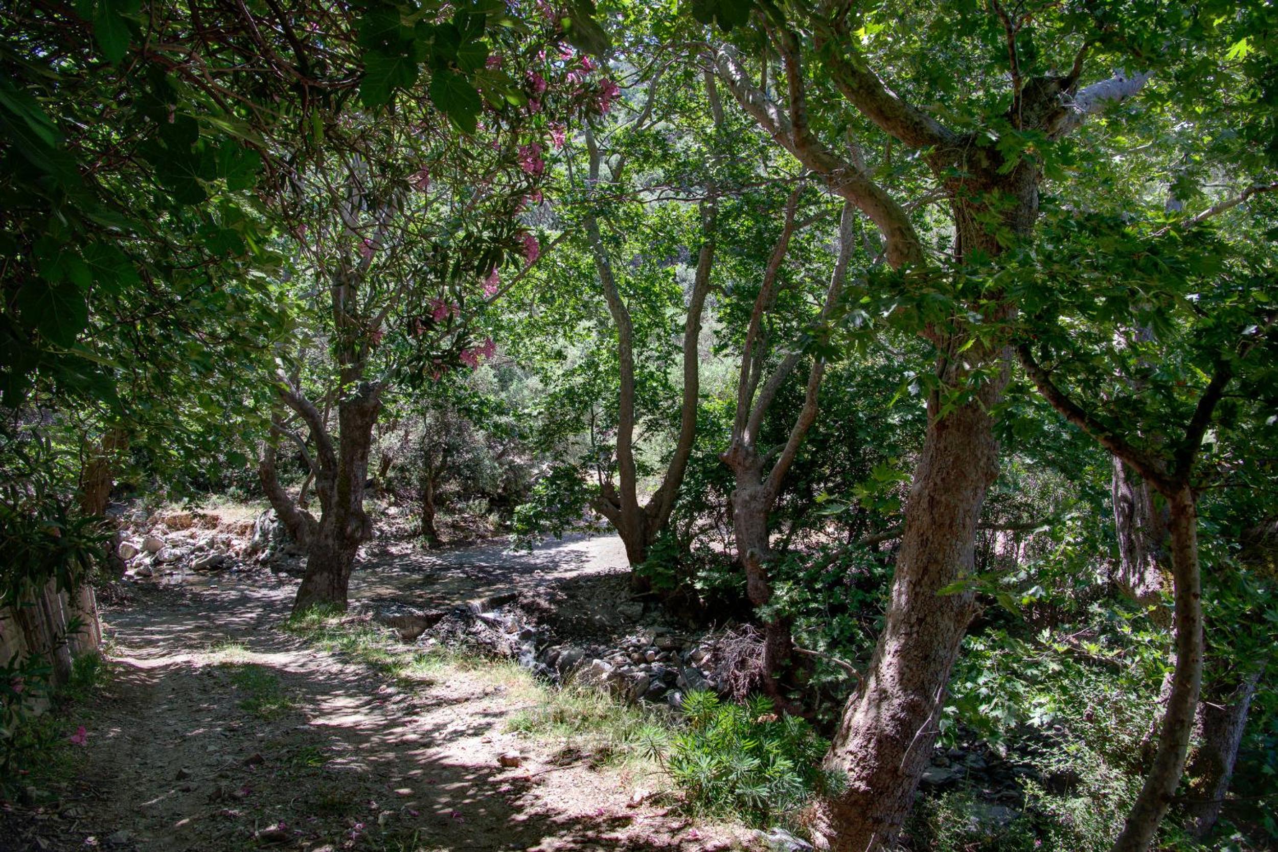 Villa Tzitzifia - Near Elafonisi