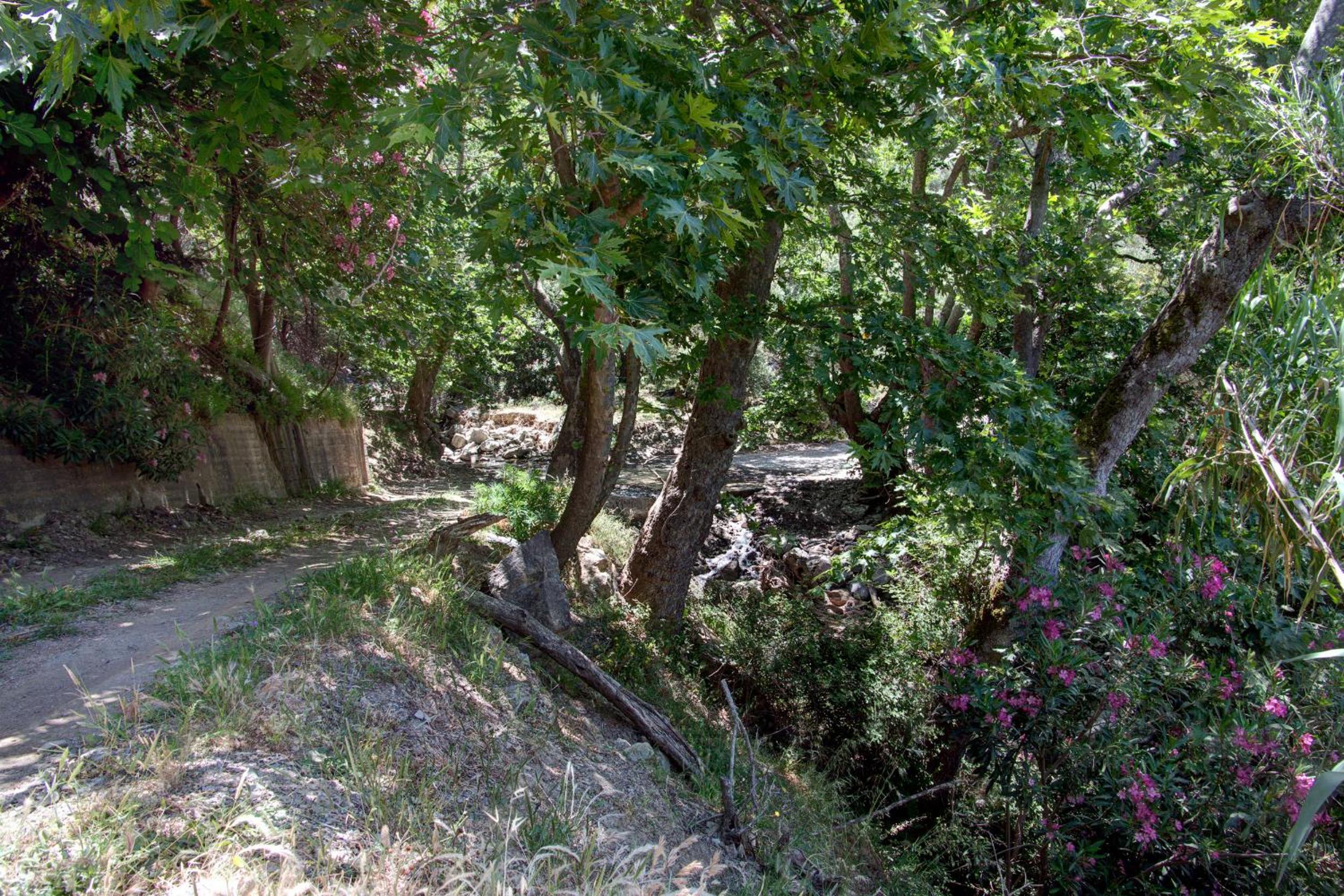 Villa Tzitzifia - Near Elafonisi