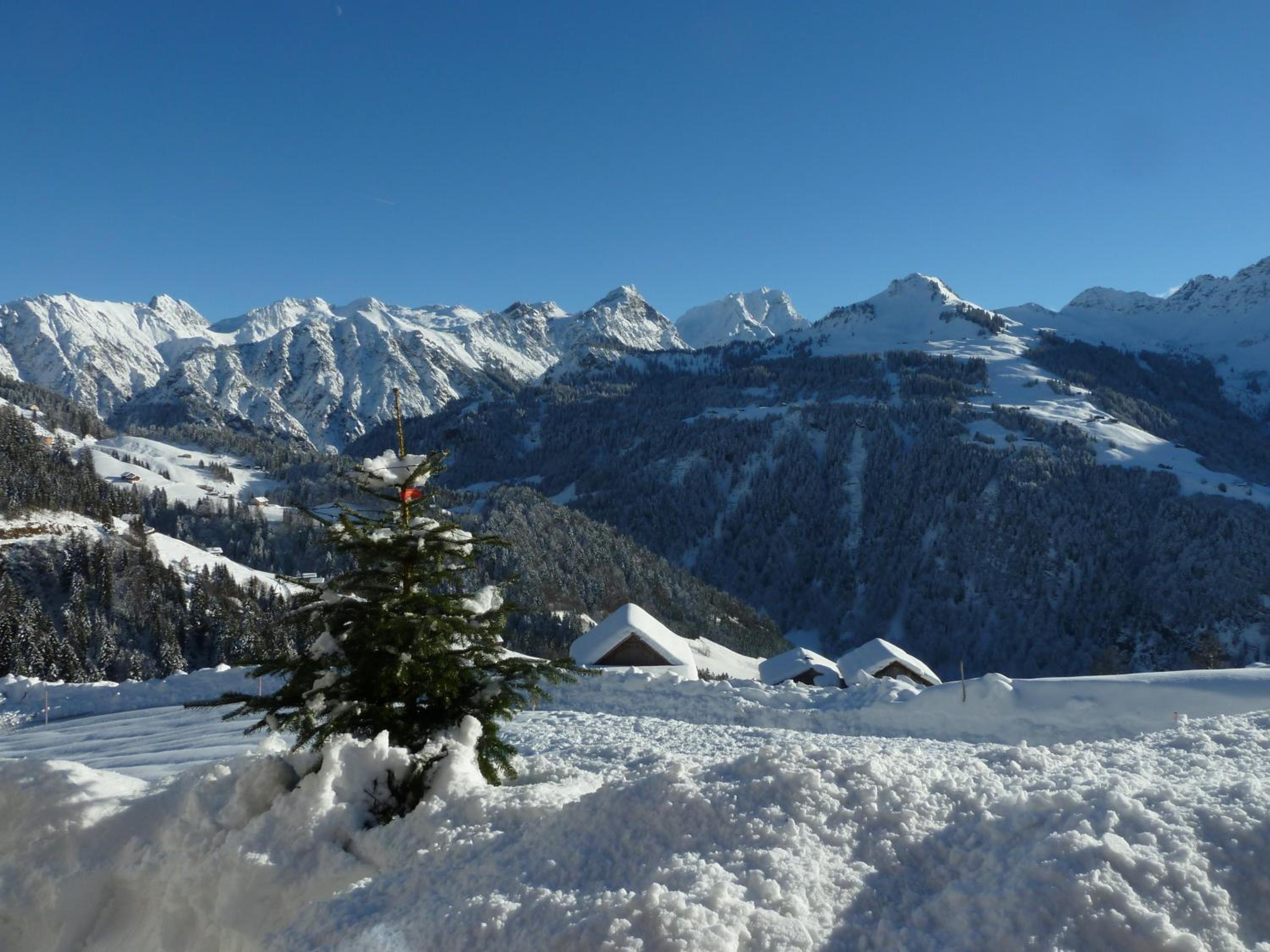 Photo 44