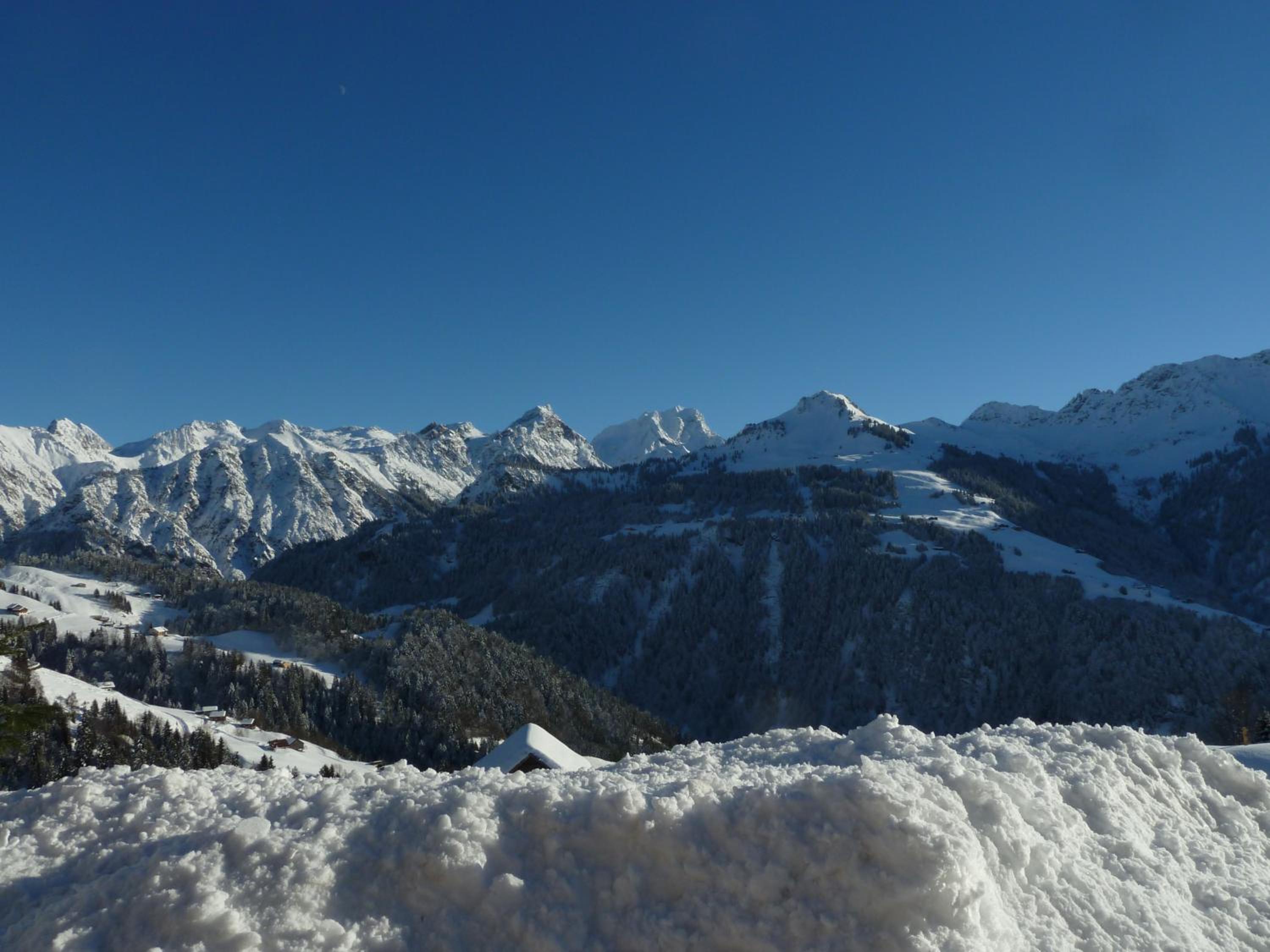 Photo 46