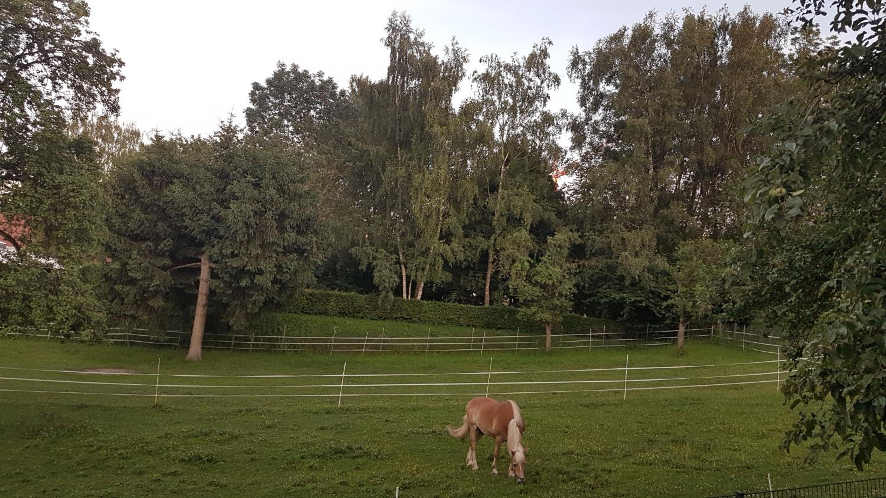 Ferienwohnung Sonnenschein