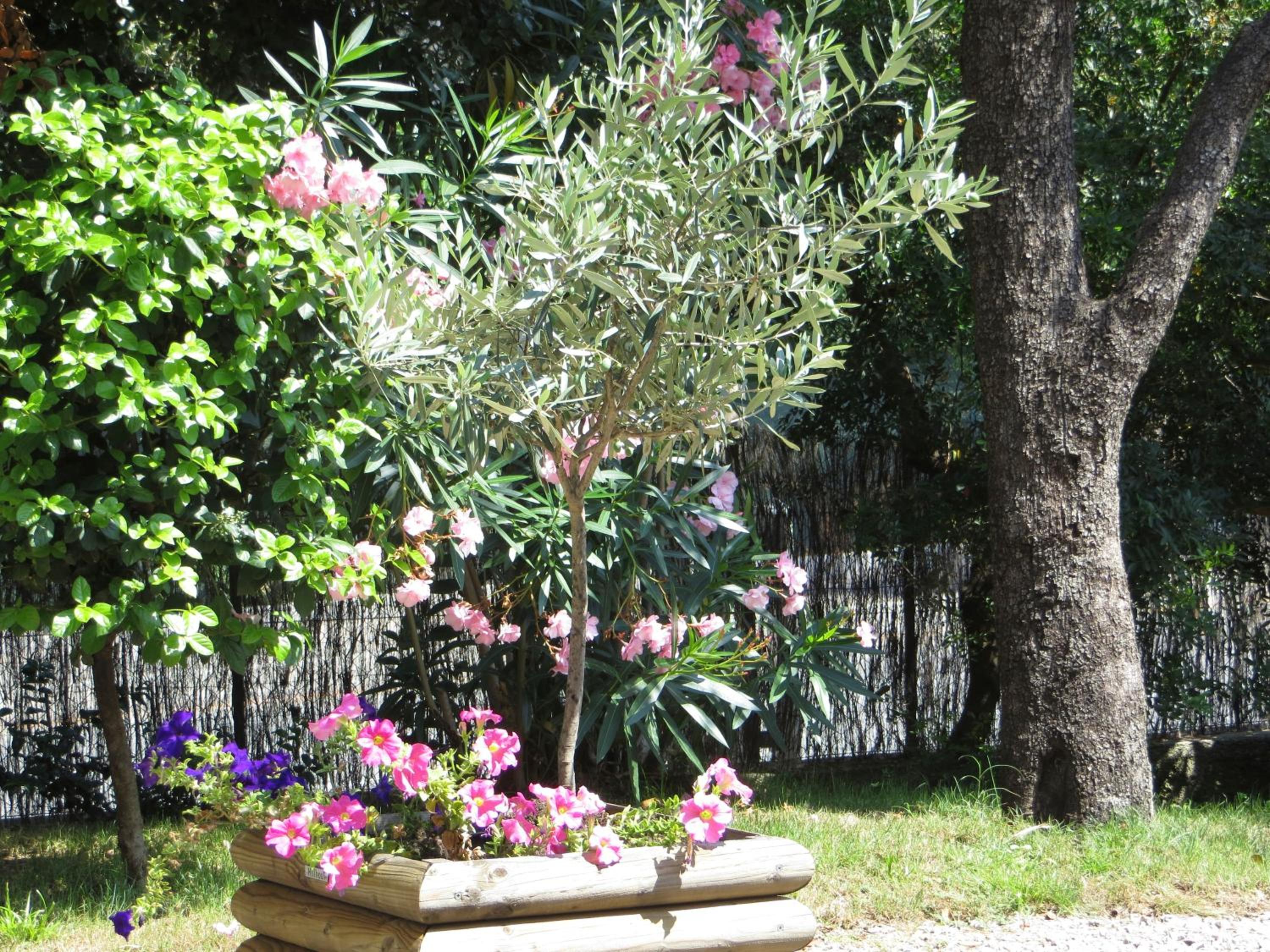 Photo 33