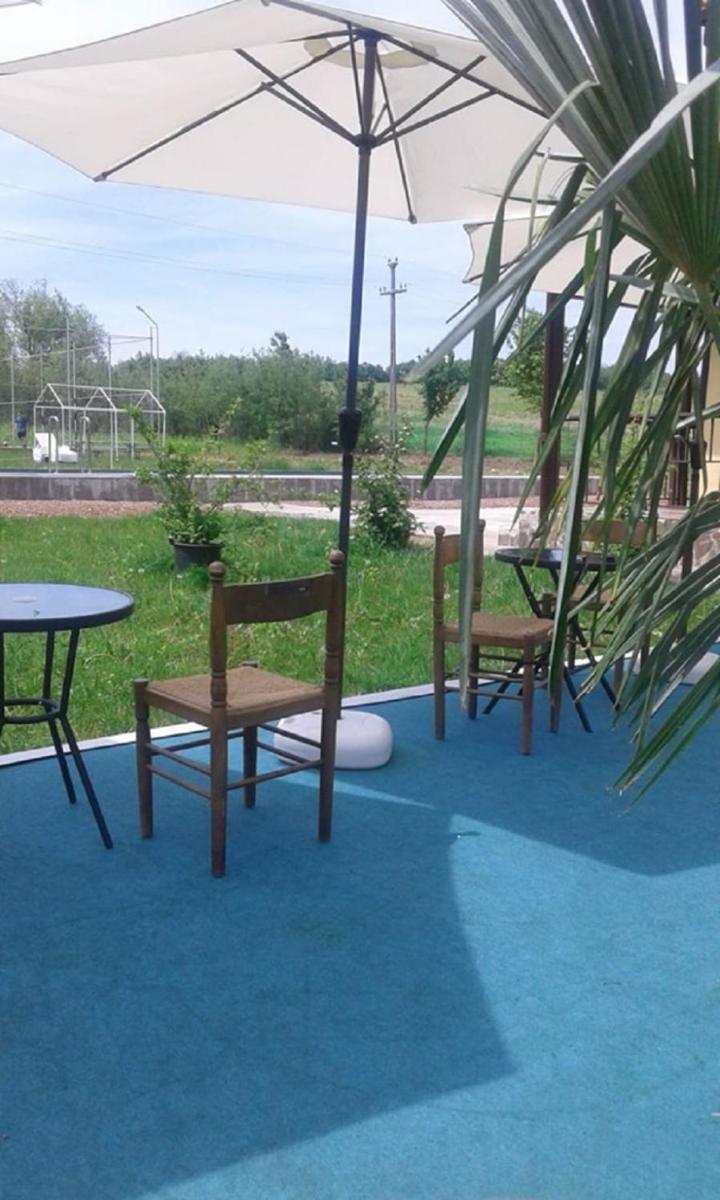Pensiunea Casa Vanatorului view 5