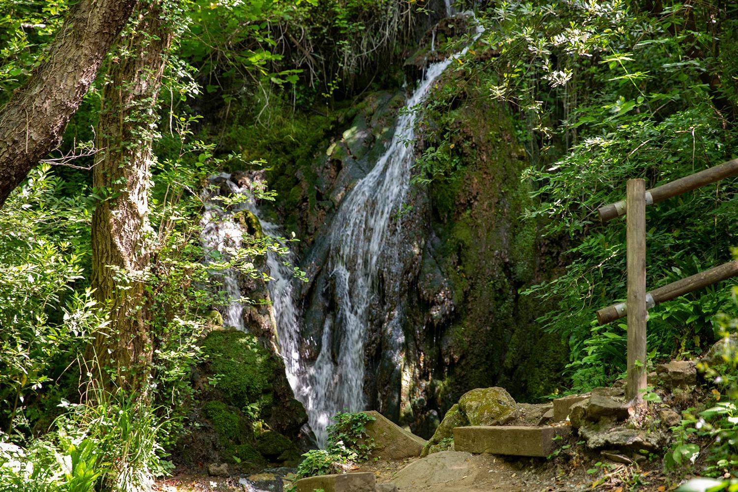 Photo 47