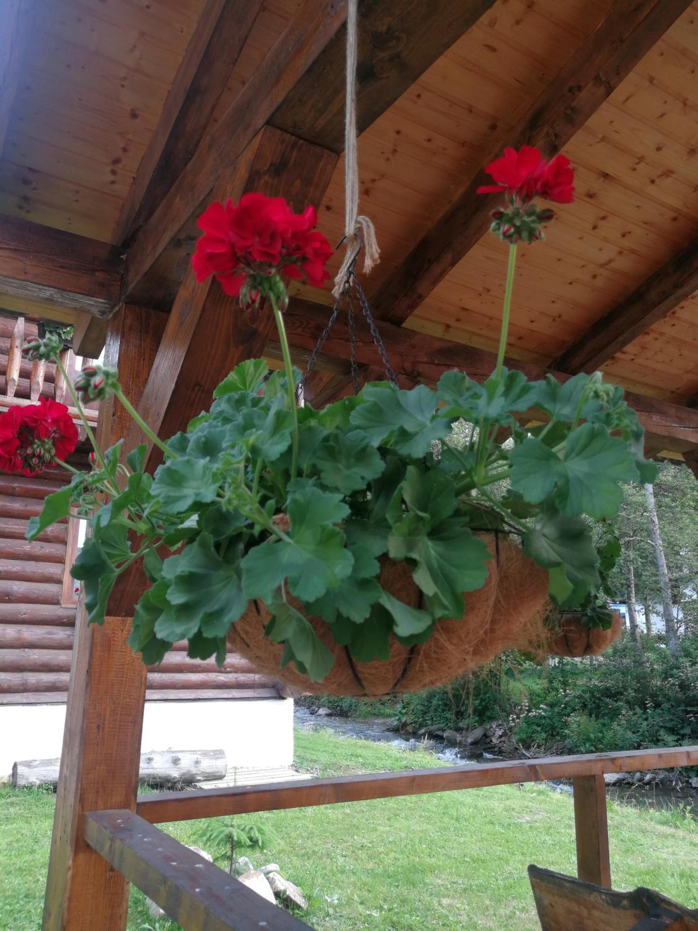 Cabana Rustic Balea