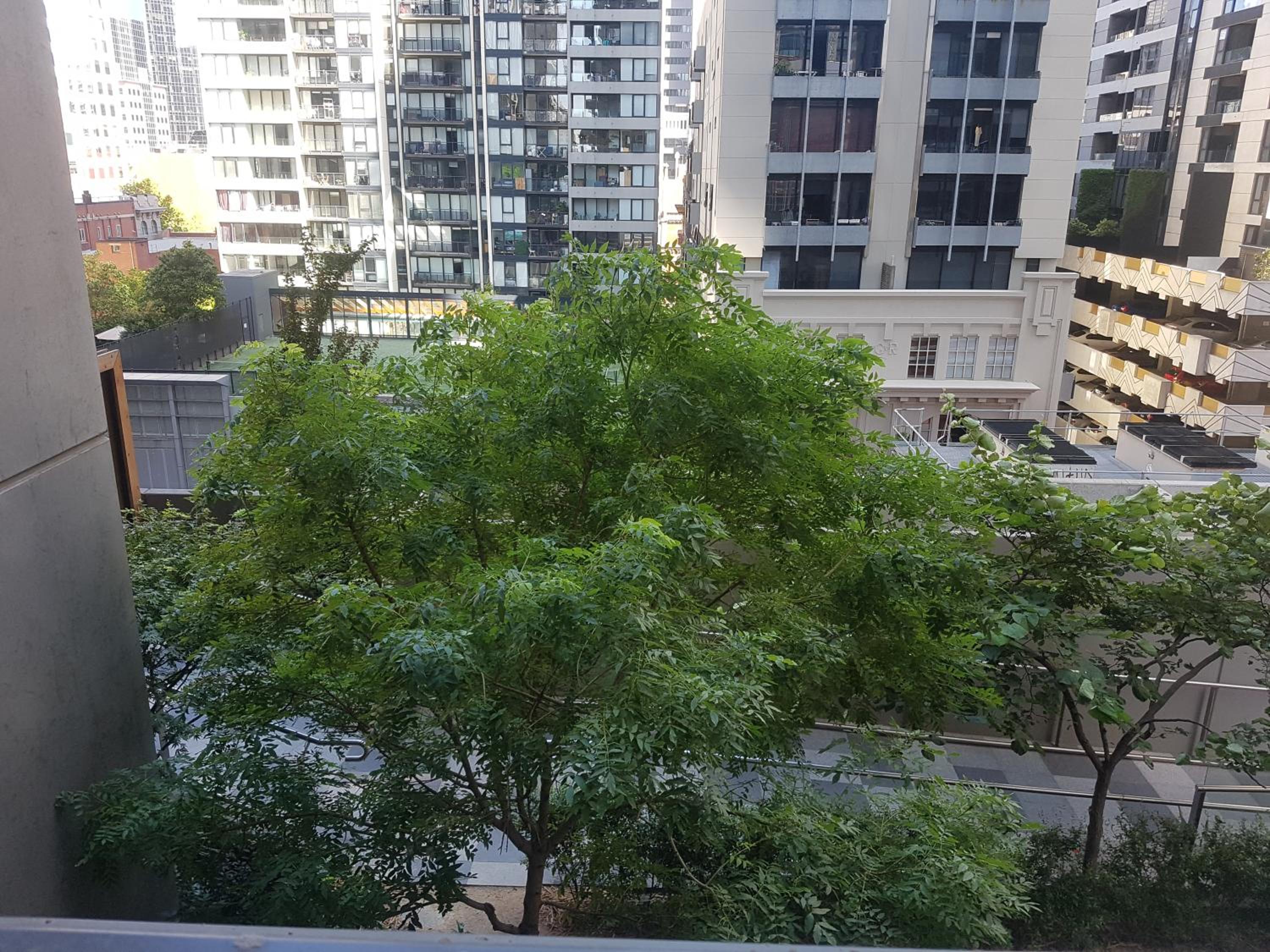 Melbourne CBD Views