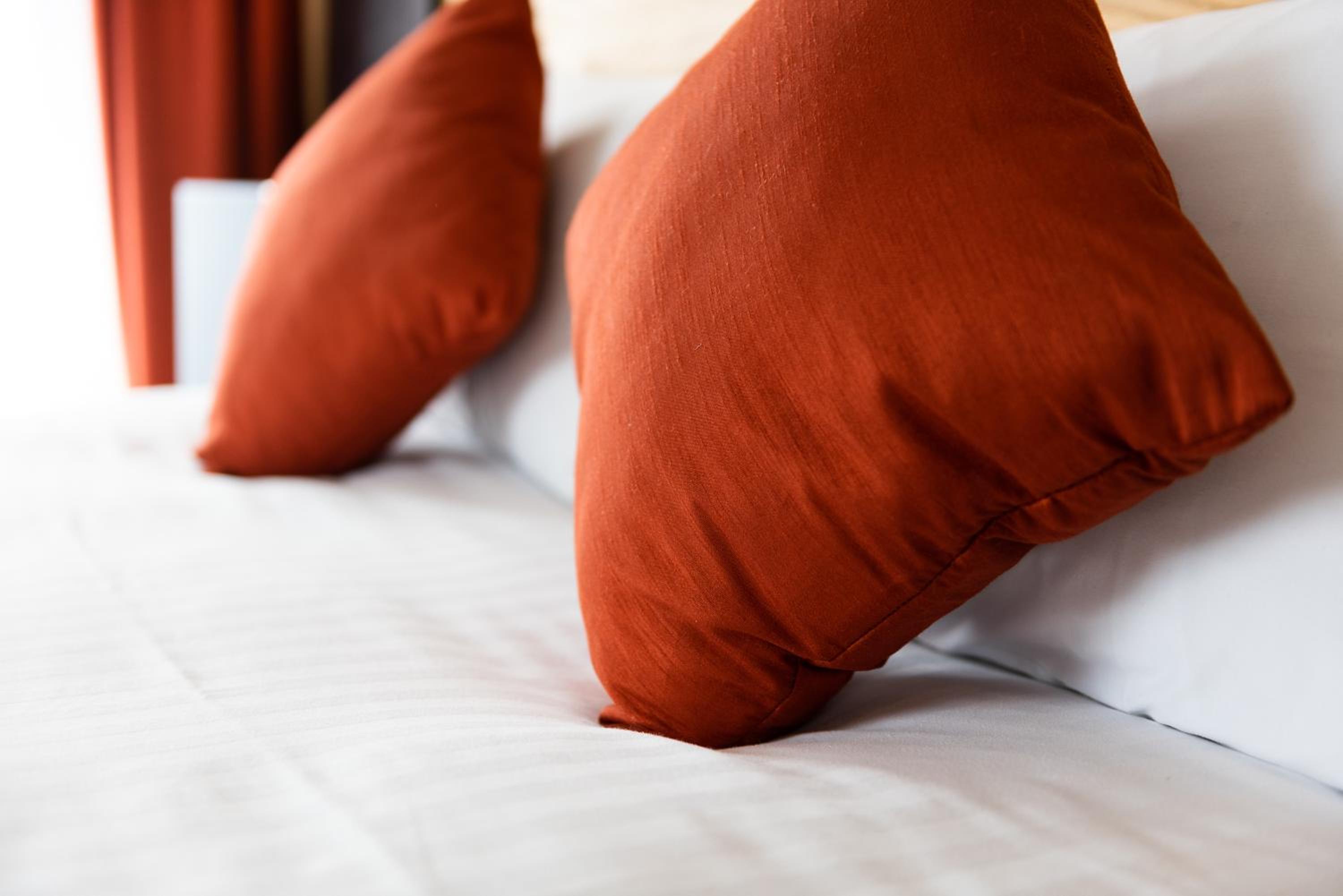 Kings Lynn Vacations - Dragonfly Hotel King's Lynn - Property Image 21