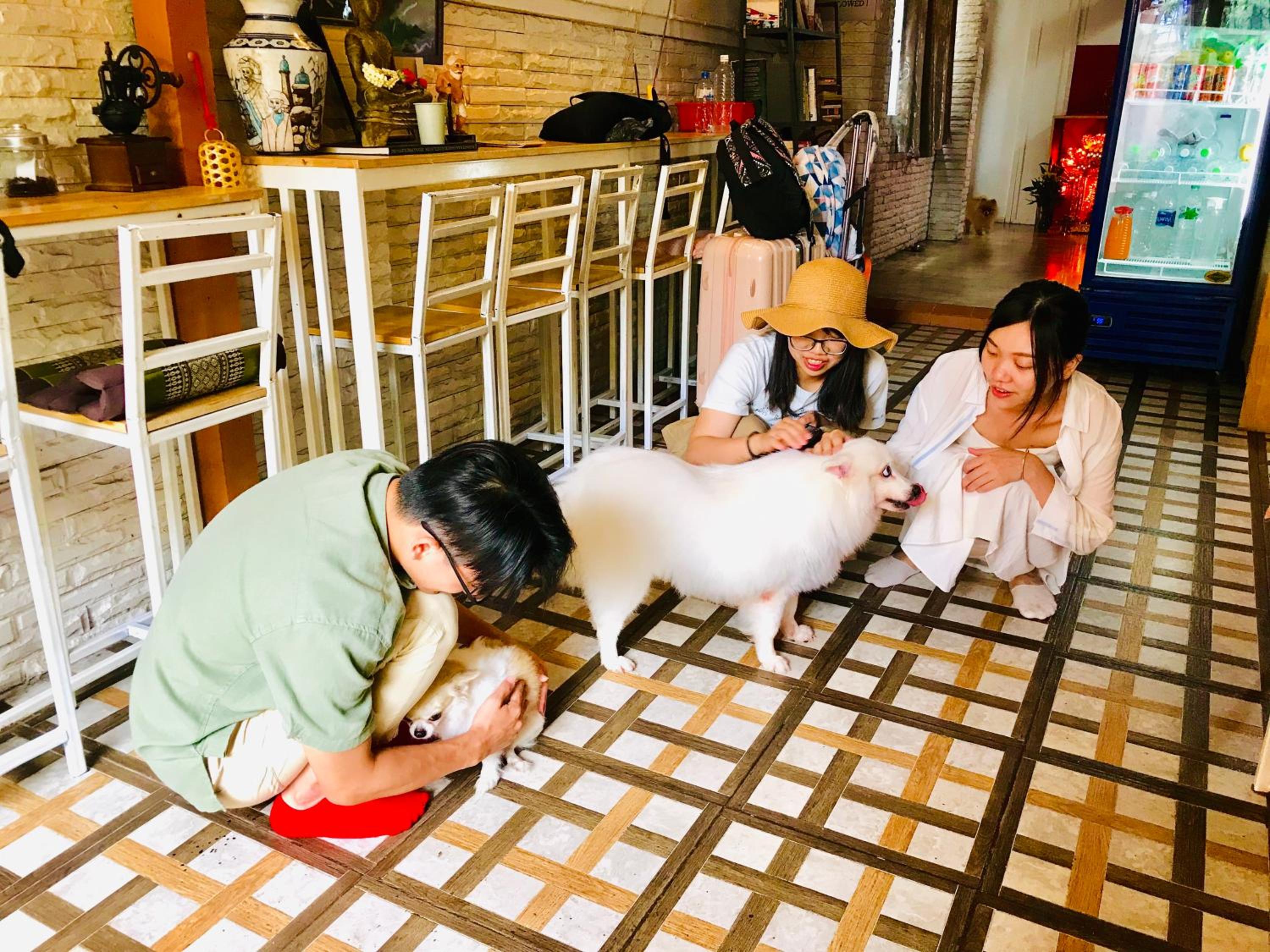 Pailin Guest House