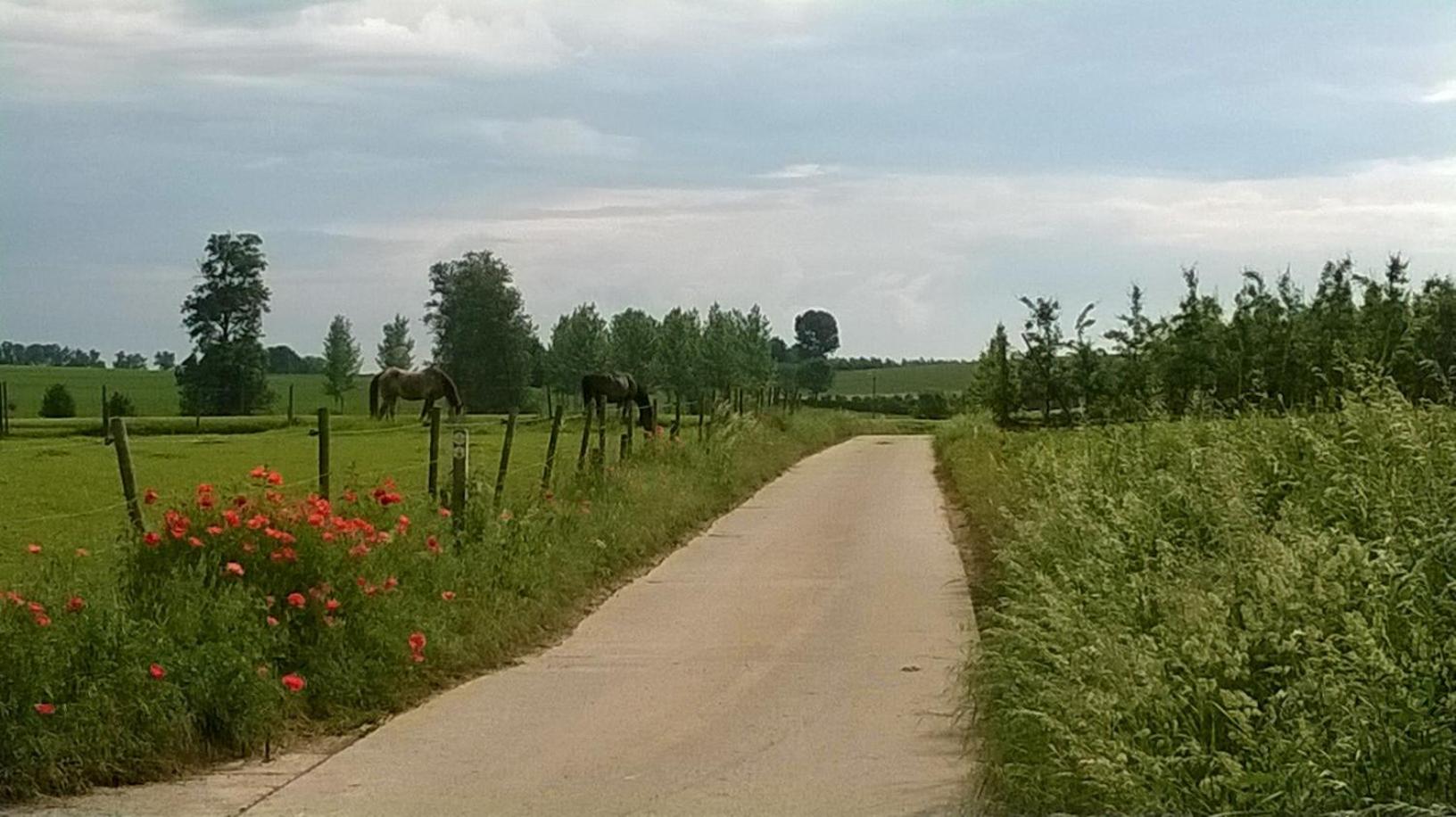 De Lokroep