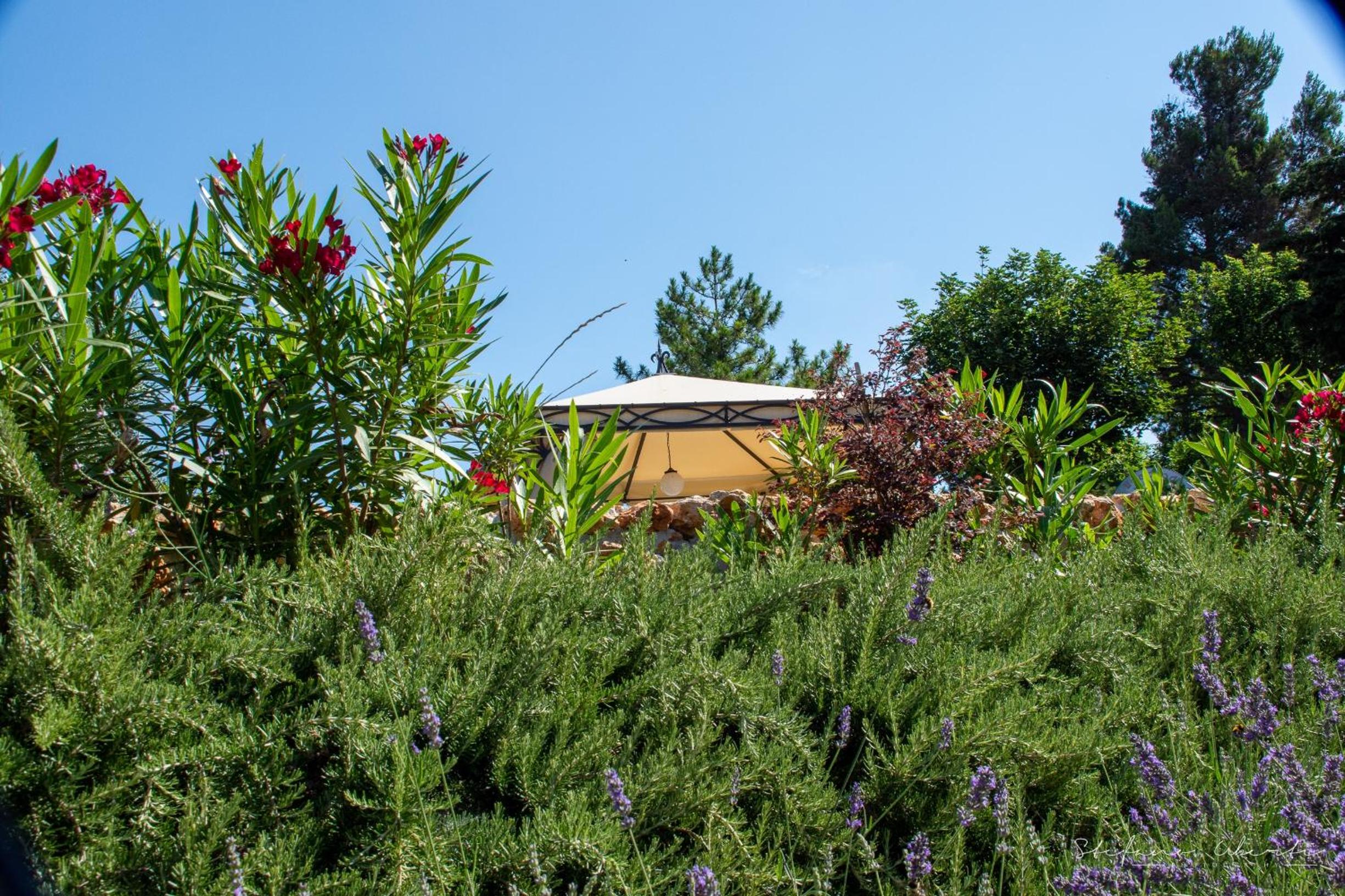 Villa Mascitti B&B Tortoreto Alto