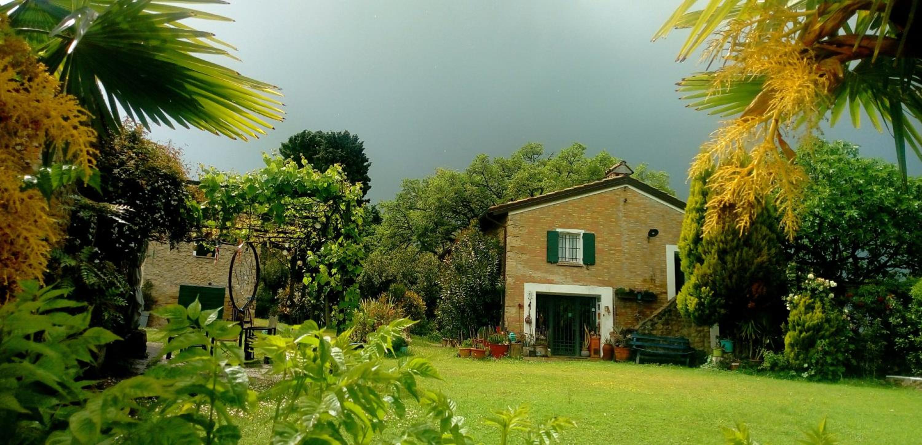 la cana dolce