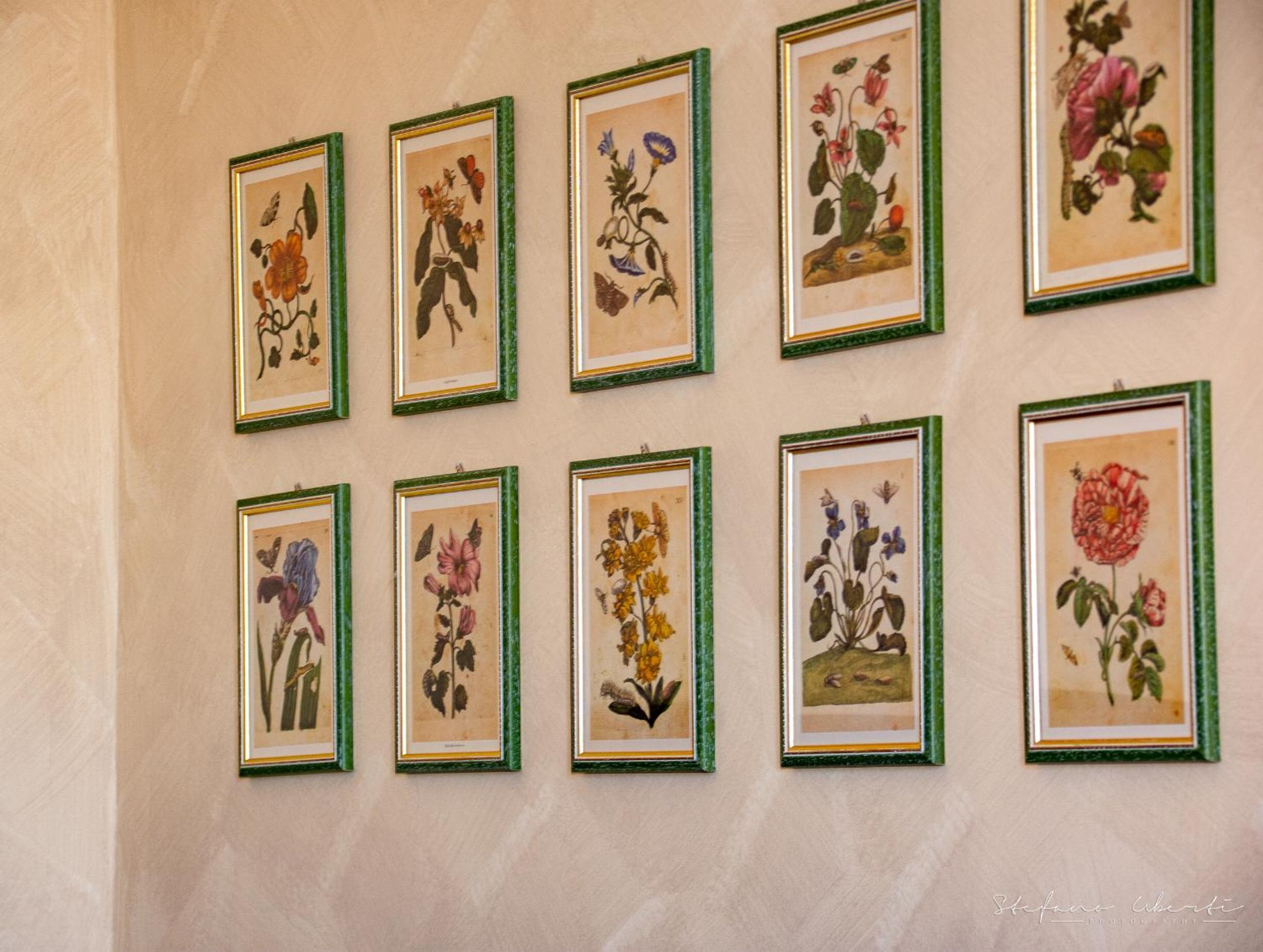 Villa Mascitti B&B Tortoreto Alto
