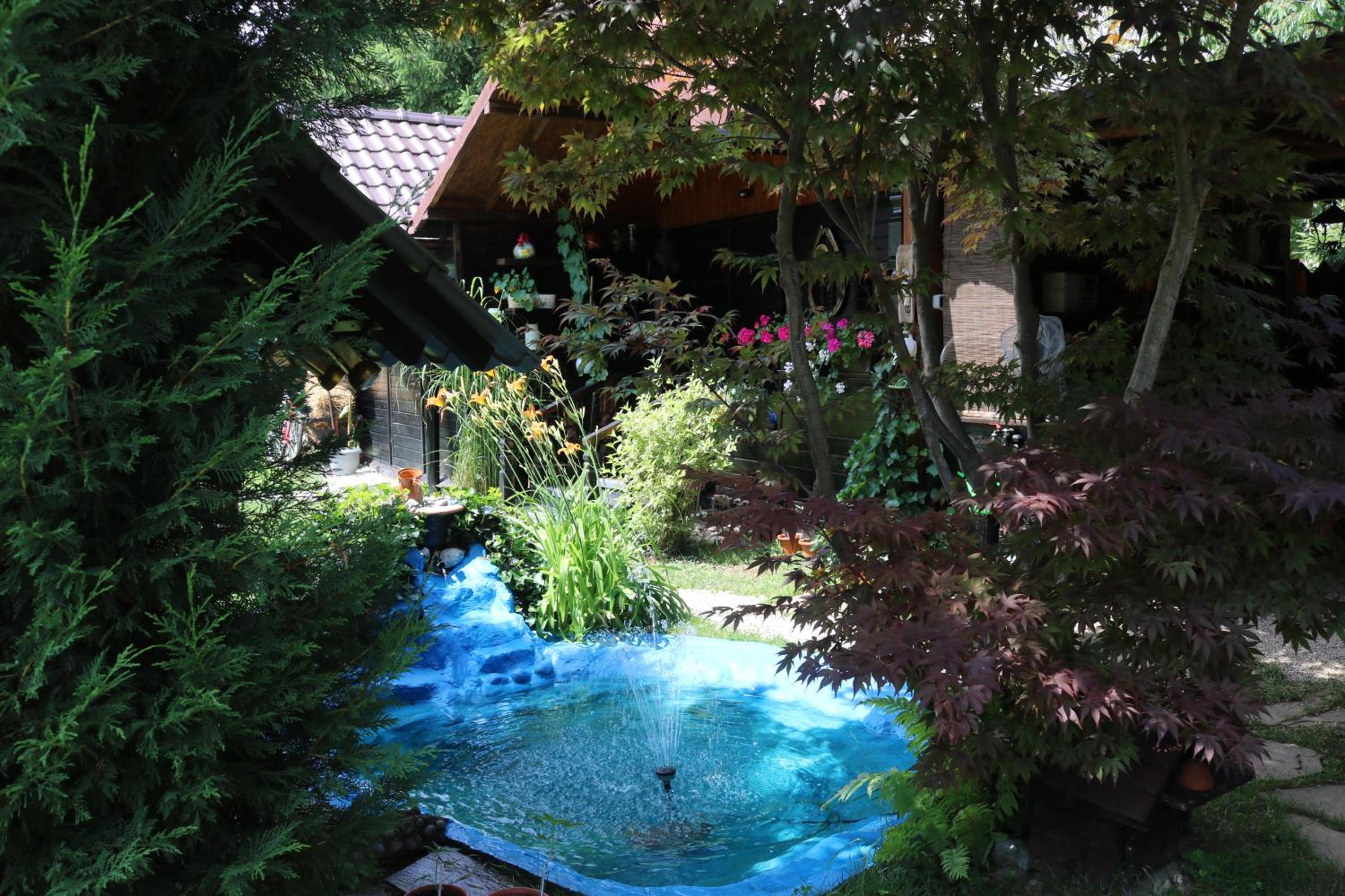 Frenkcottage 5 KM FROM THE AIRPORT- FREE TRANSPORTATION TO THE AIRPORT view 2