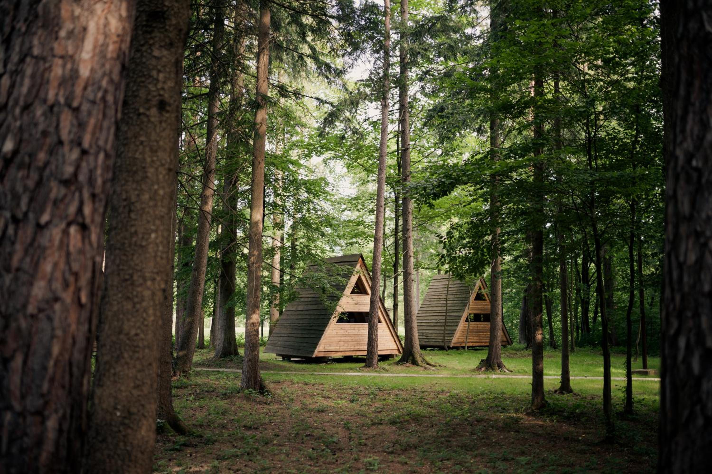 Forest Camping Mozirje view 5