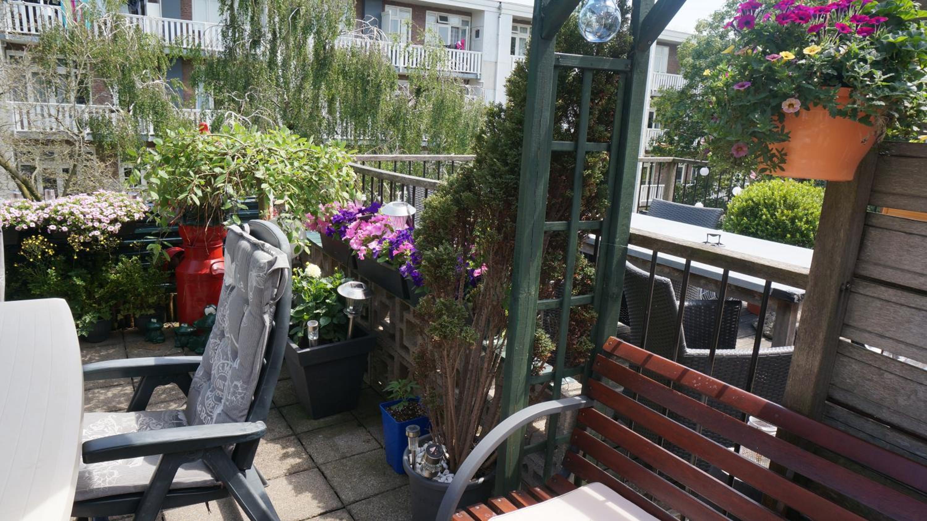 Amsterdam Roof Terrace B&B photo 5
