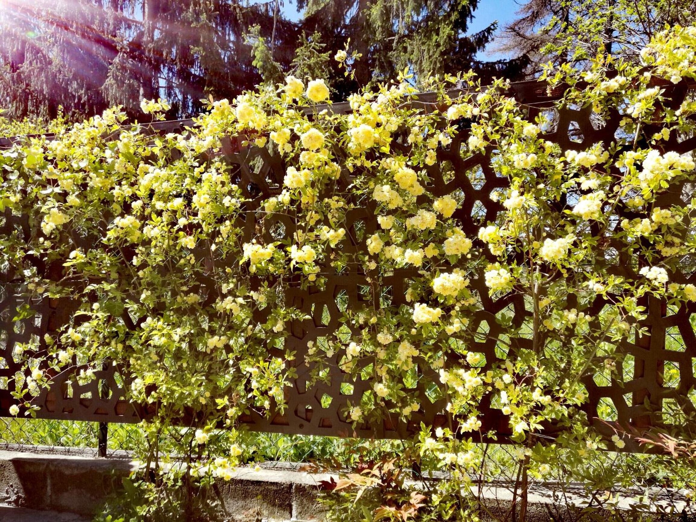 Photo 48
