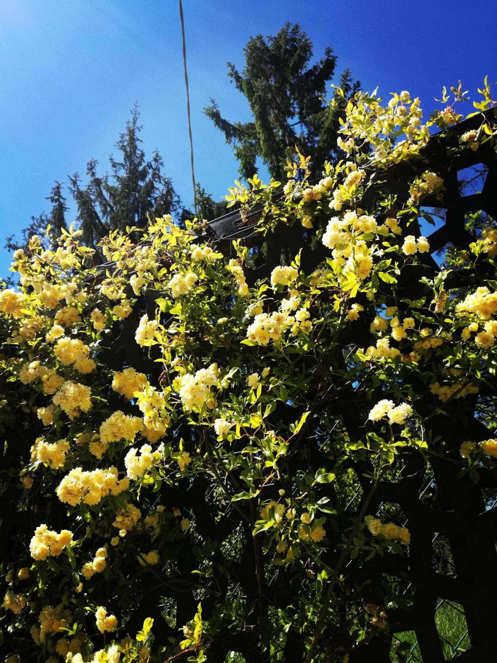 Photo 47