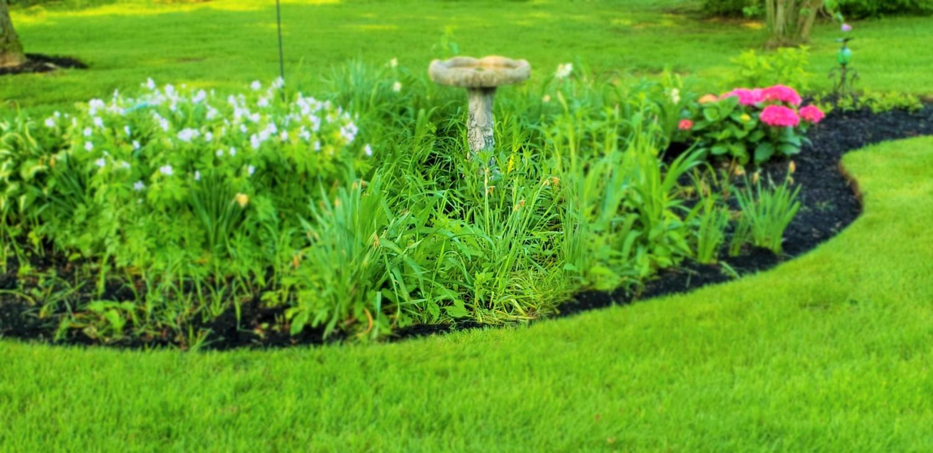 Elmere House Bed & Breakfast