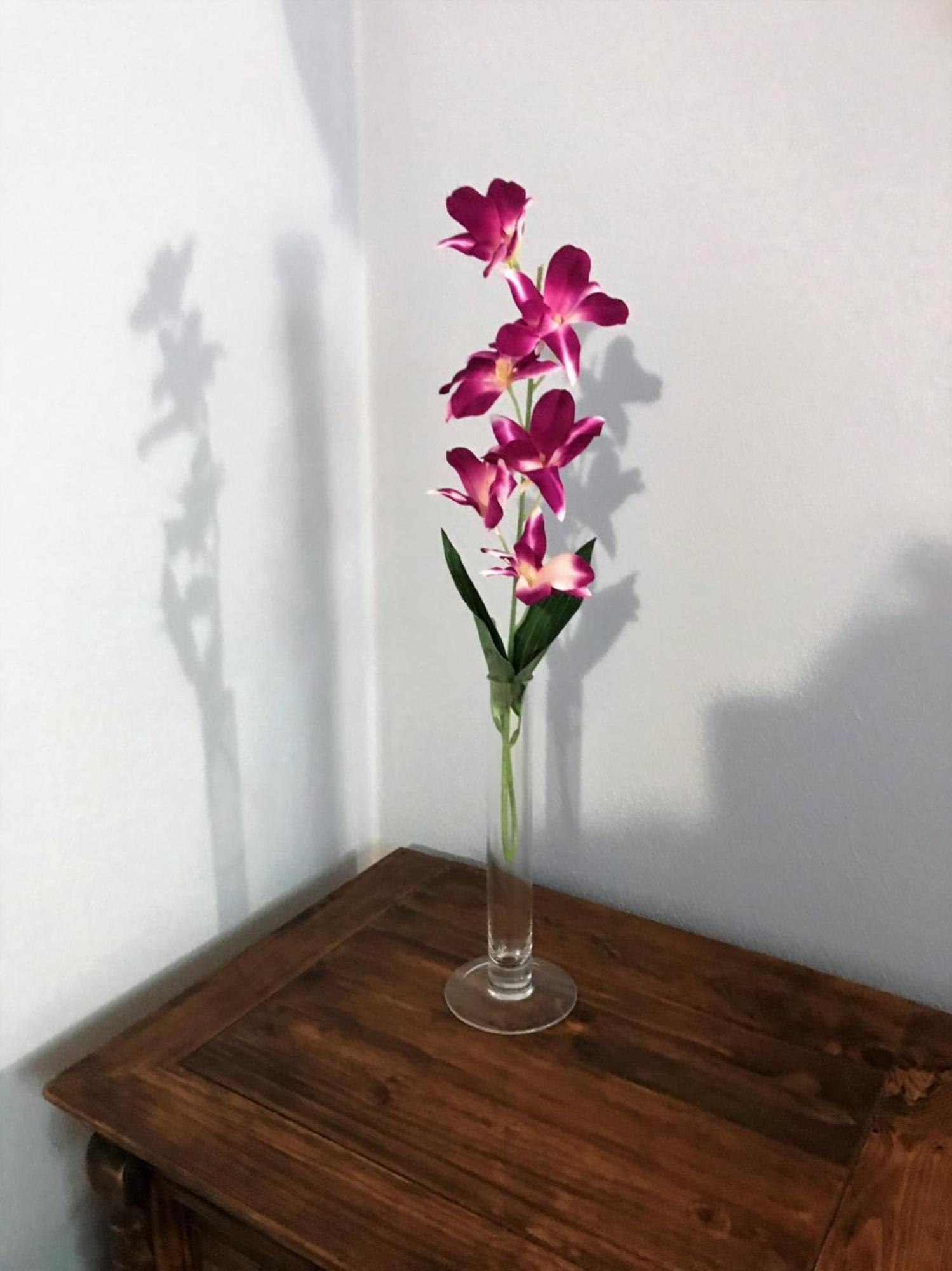Appartment- Betulla view 5
