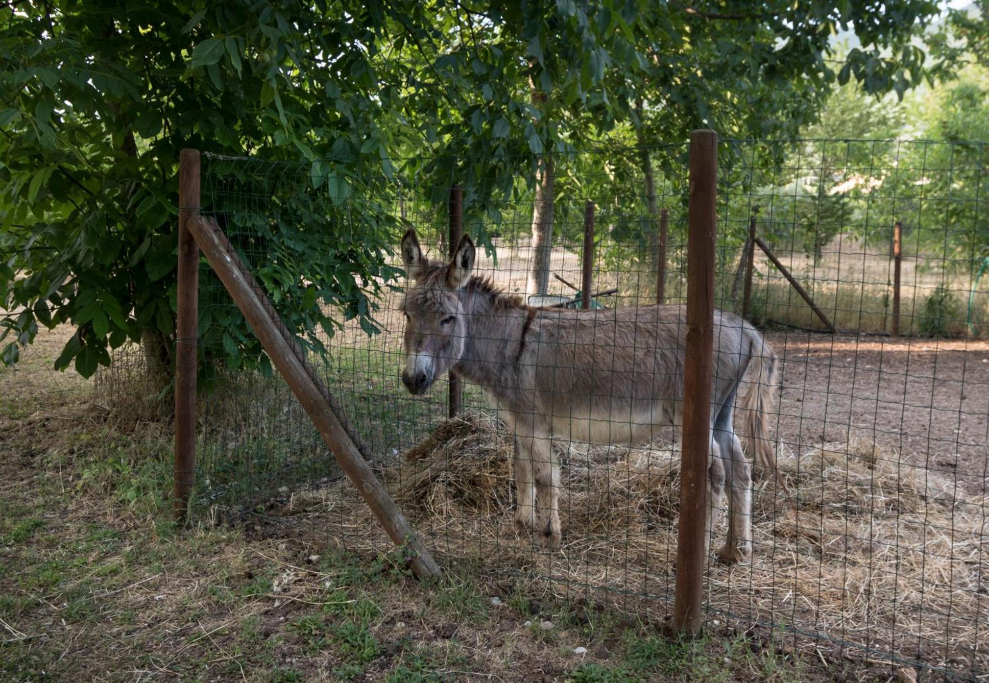 Agriturismo Il Giardino Dei Ciliegi