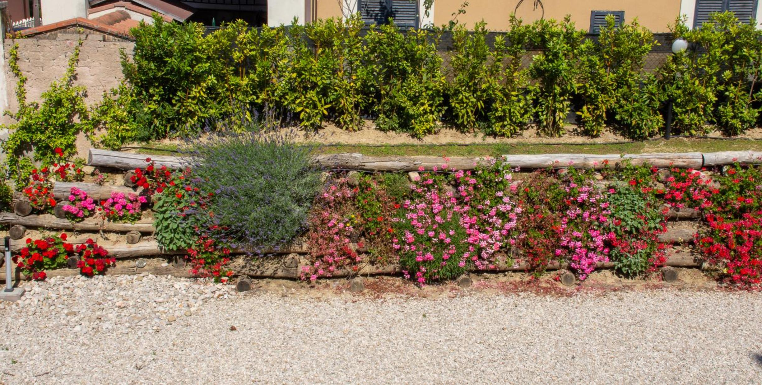 Villa Mascitti B&B Tortoreto Alto