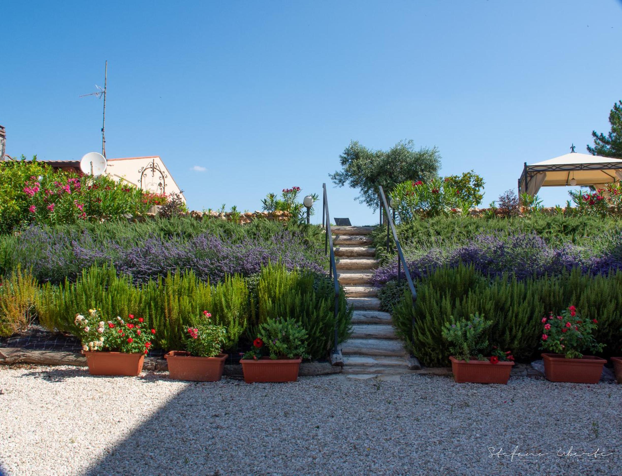 Villa Mascitti B&B Tortoreto Alto