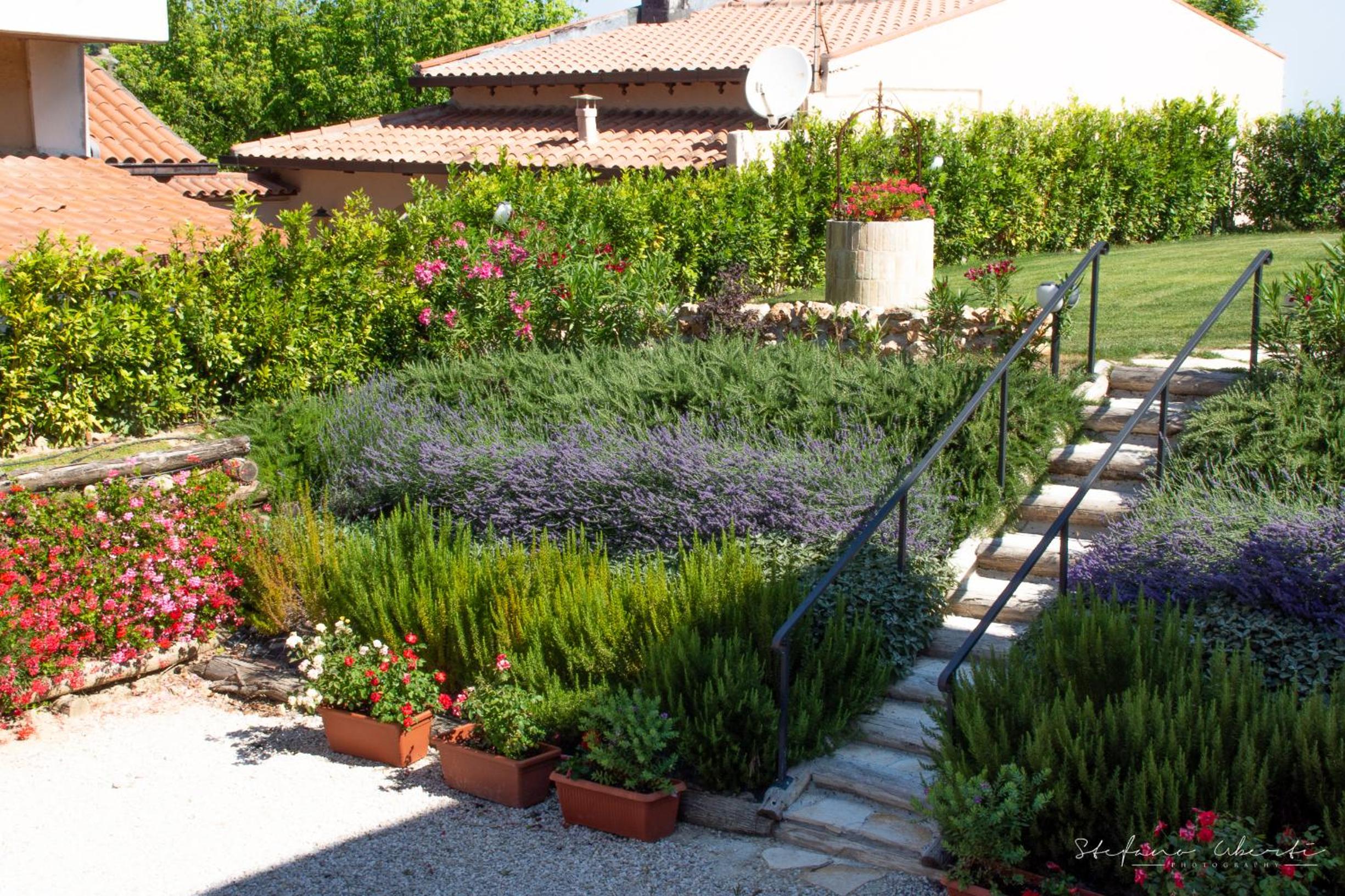 Villa Mascitti B&B Tortoreto Alto