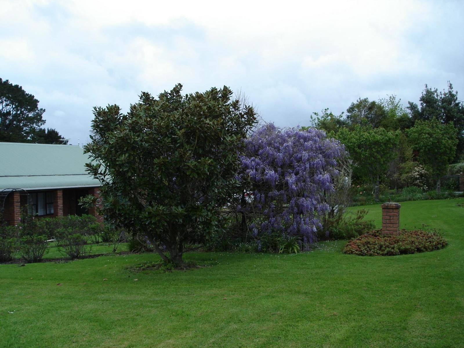 Photo 47