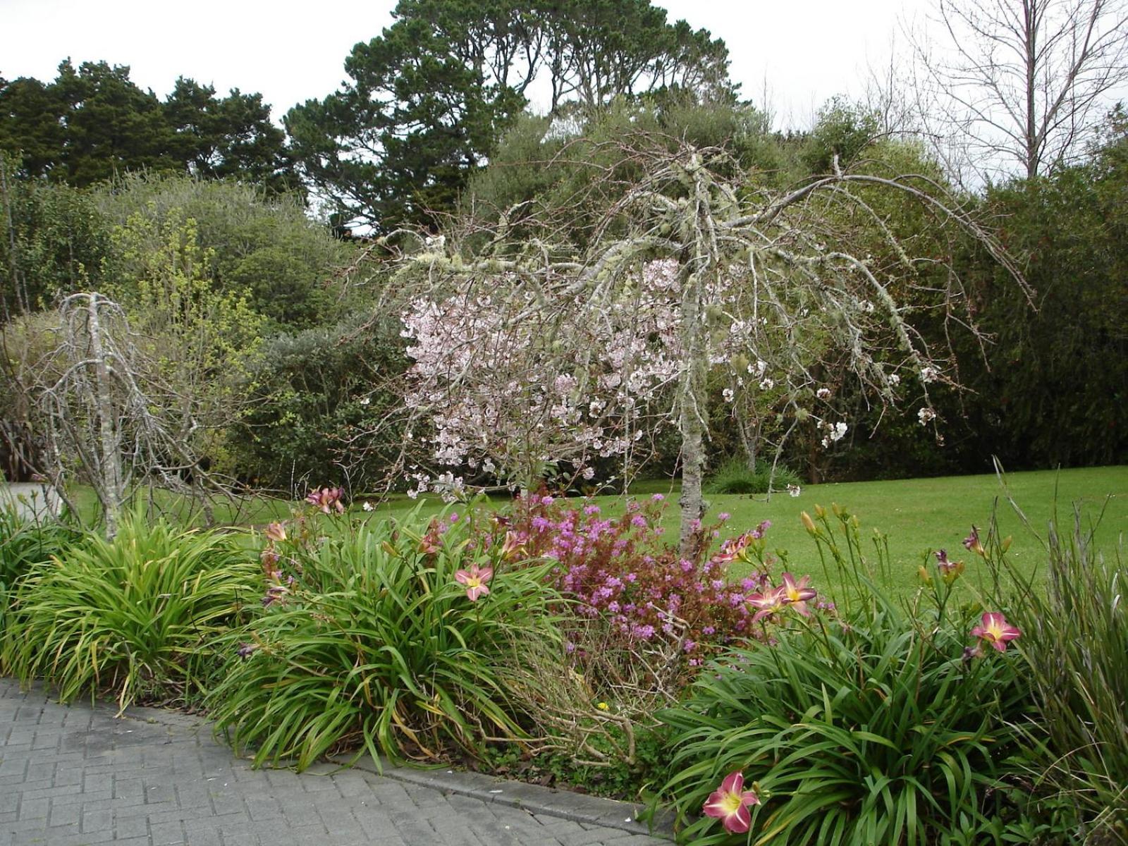Photo 48