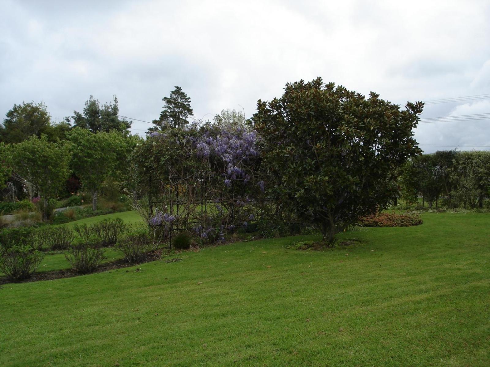 Photo 44